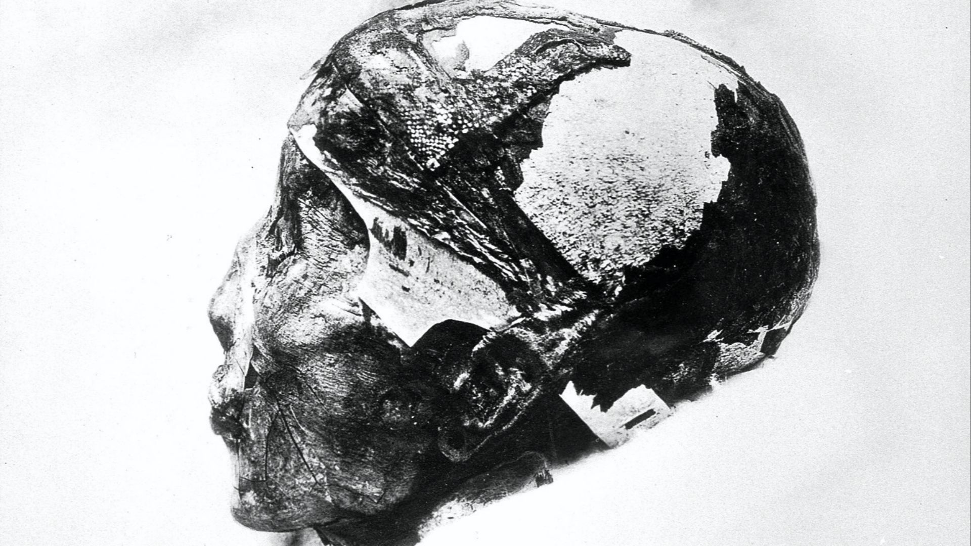 File:Tutankhamun's mummified head.jpg