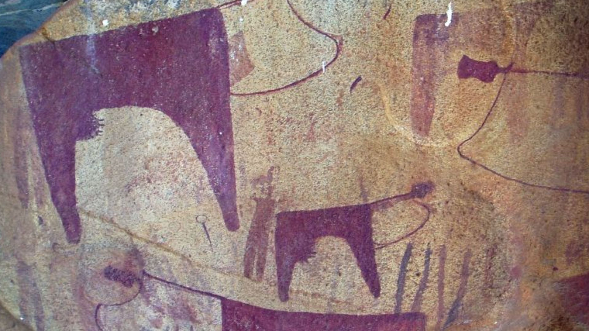 File:Laas Geel cow herd.jpg