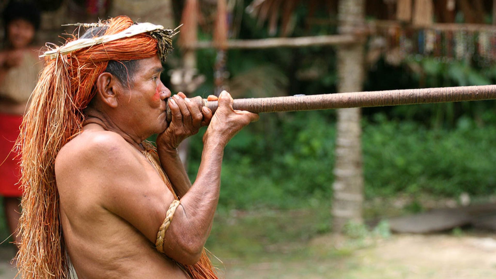 File:Yahua Blowgun Amazon Iquitos Peru.jpg