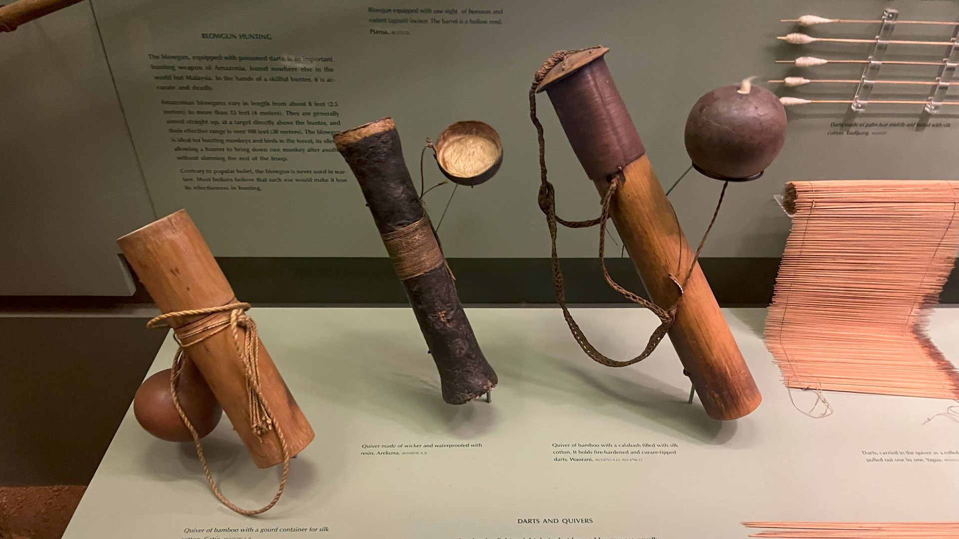 File:Blowgun darts and quivers at American Museum of Natural History.jpg