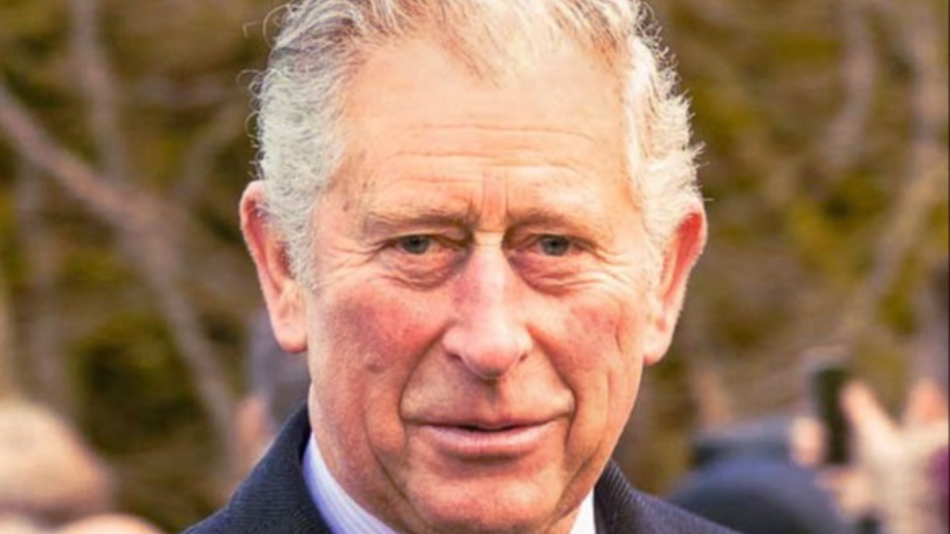 File:Charles Prince of Wales.jpg