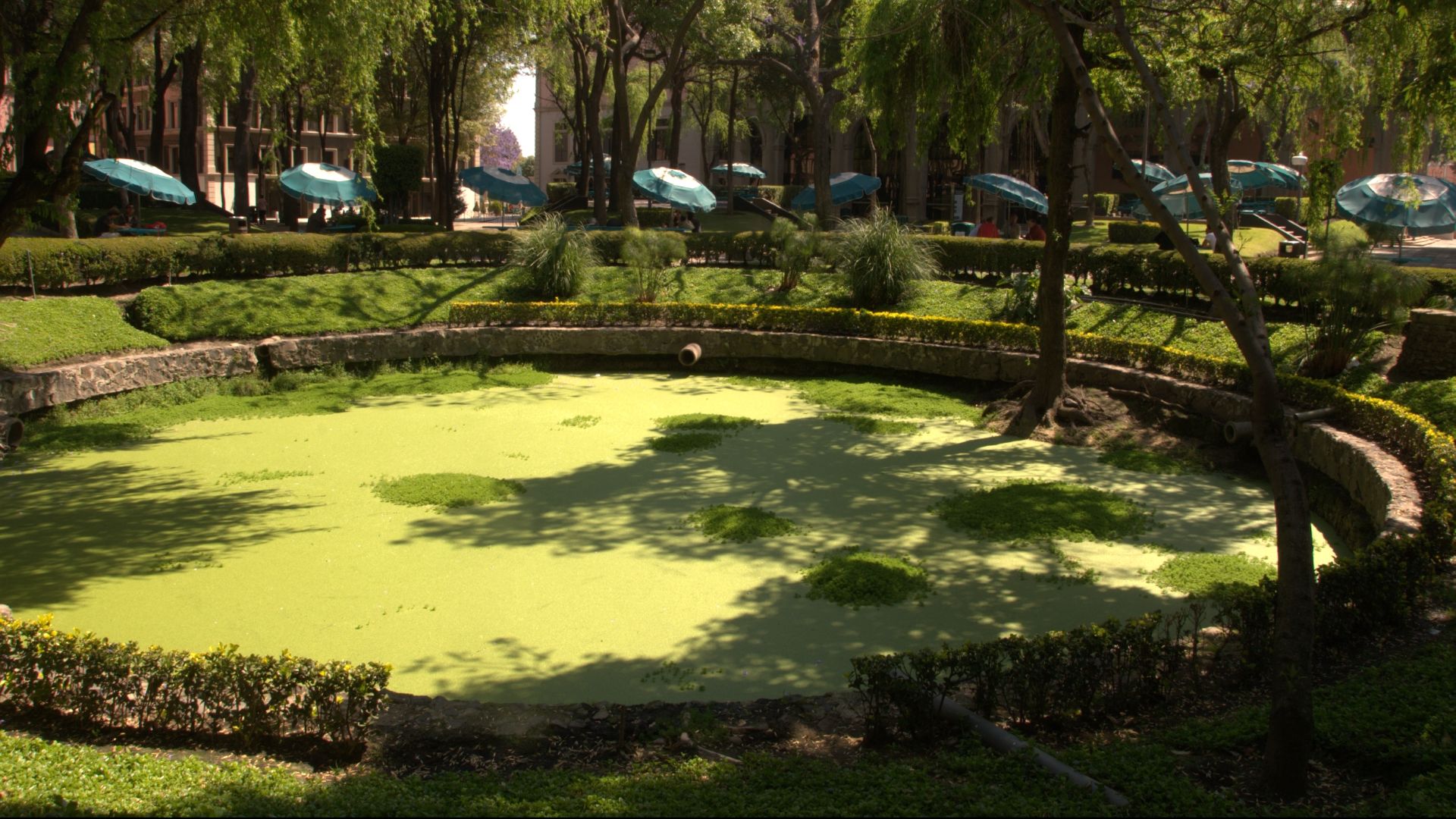 File:03242012Taller sostenibilidad lore037.jpg