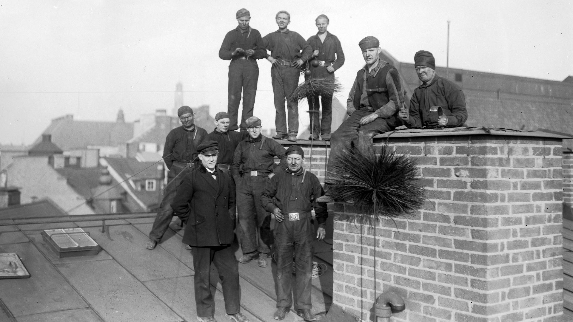 File:Sotare på ett tak i Stockholm.jpg