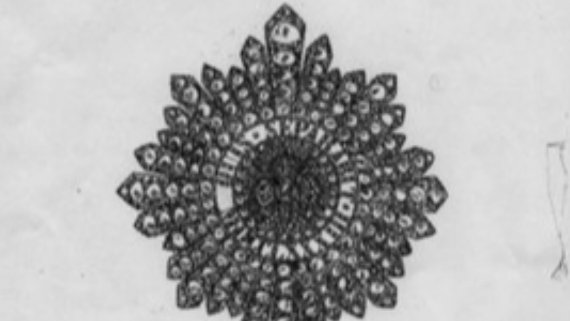 File:Irish Crown Jewels.jpg