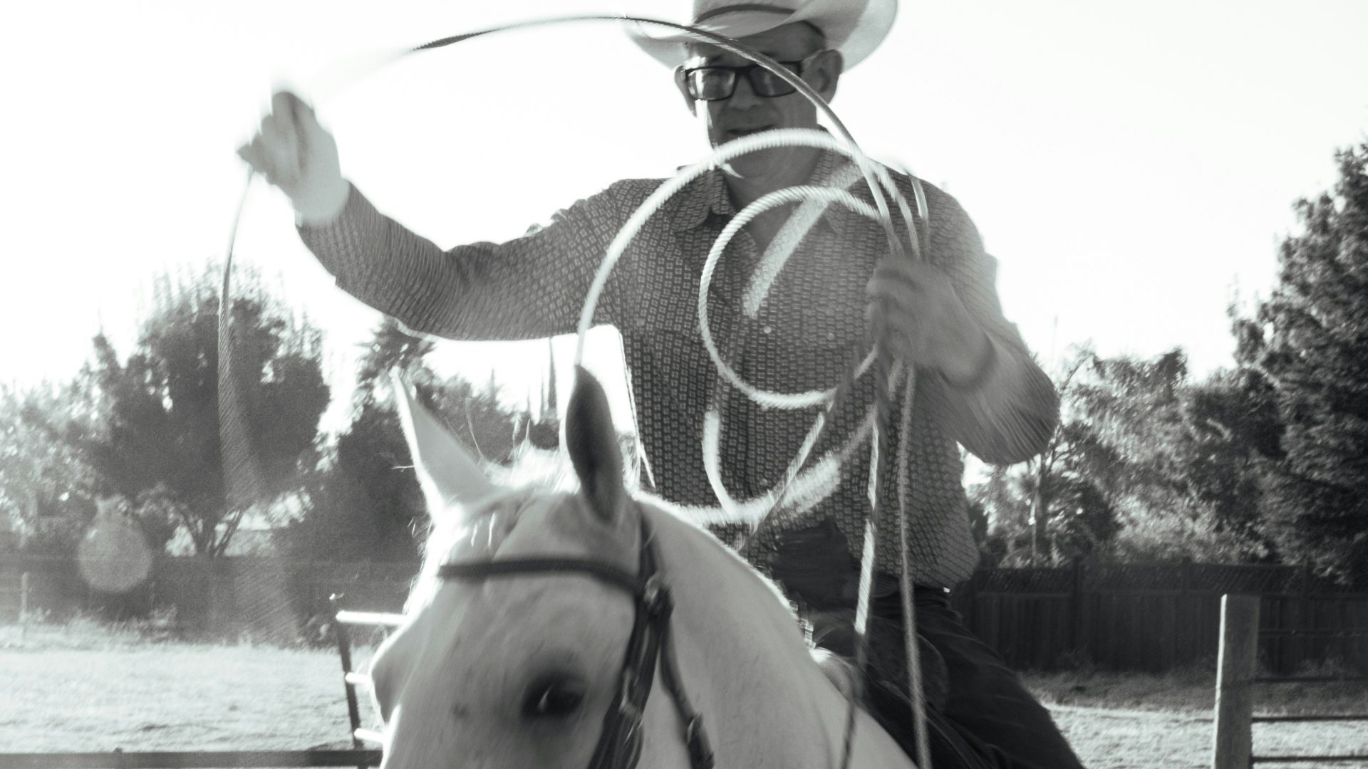A man riding on the back of a white horse