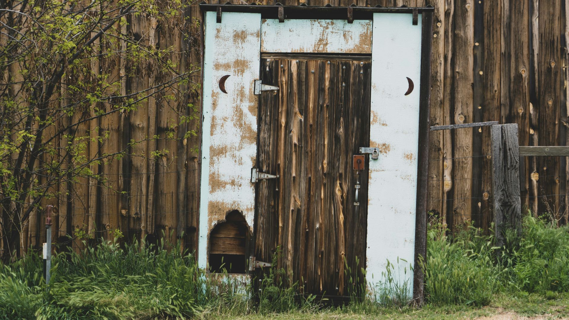 closed brown wooden door near trees