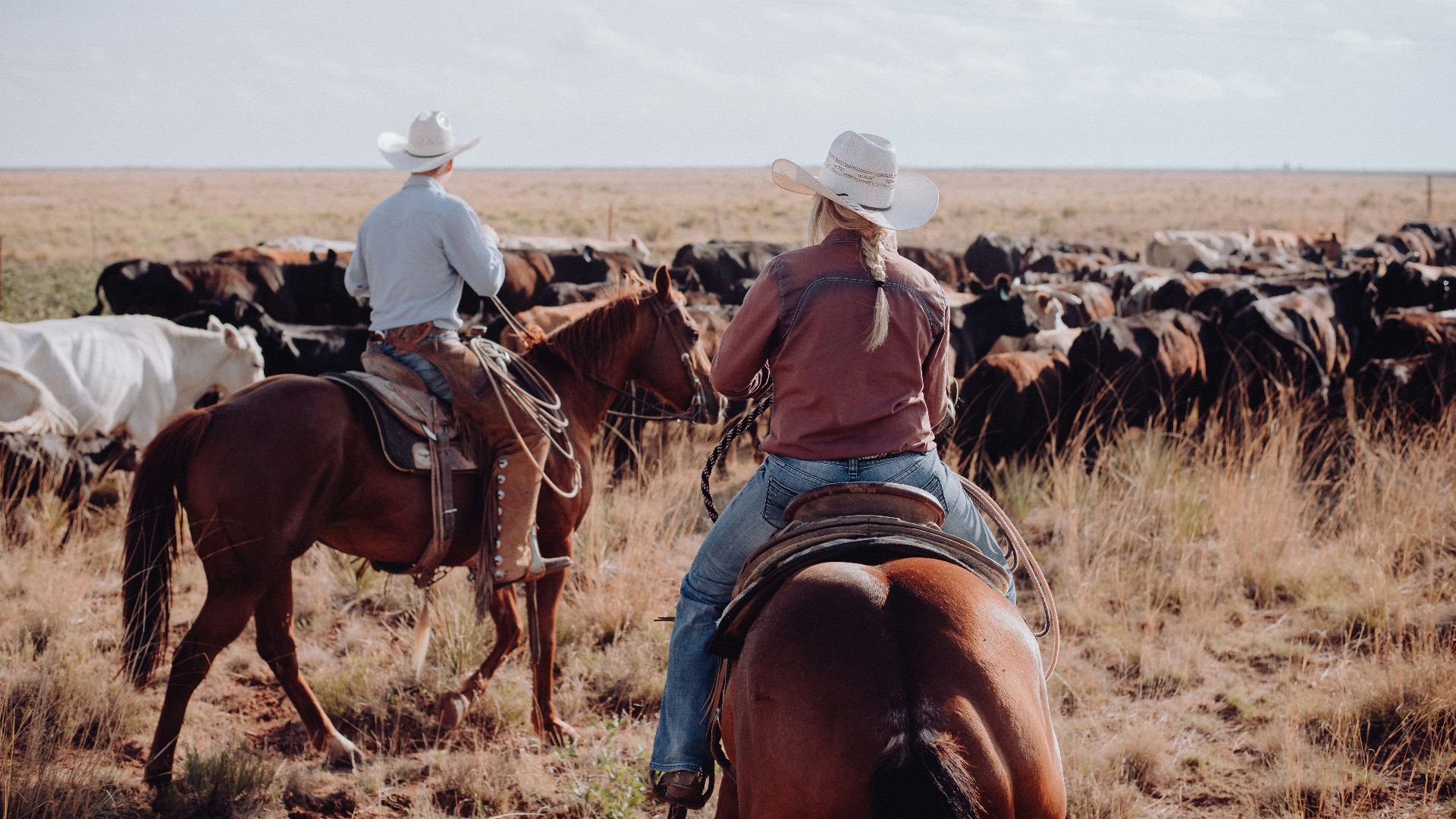 a couple of people riding on the backs of horses
