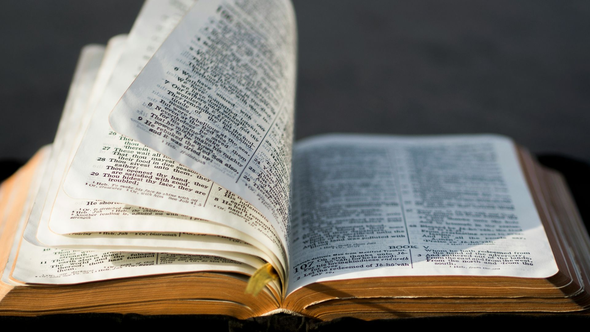 open book