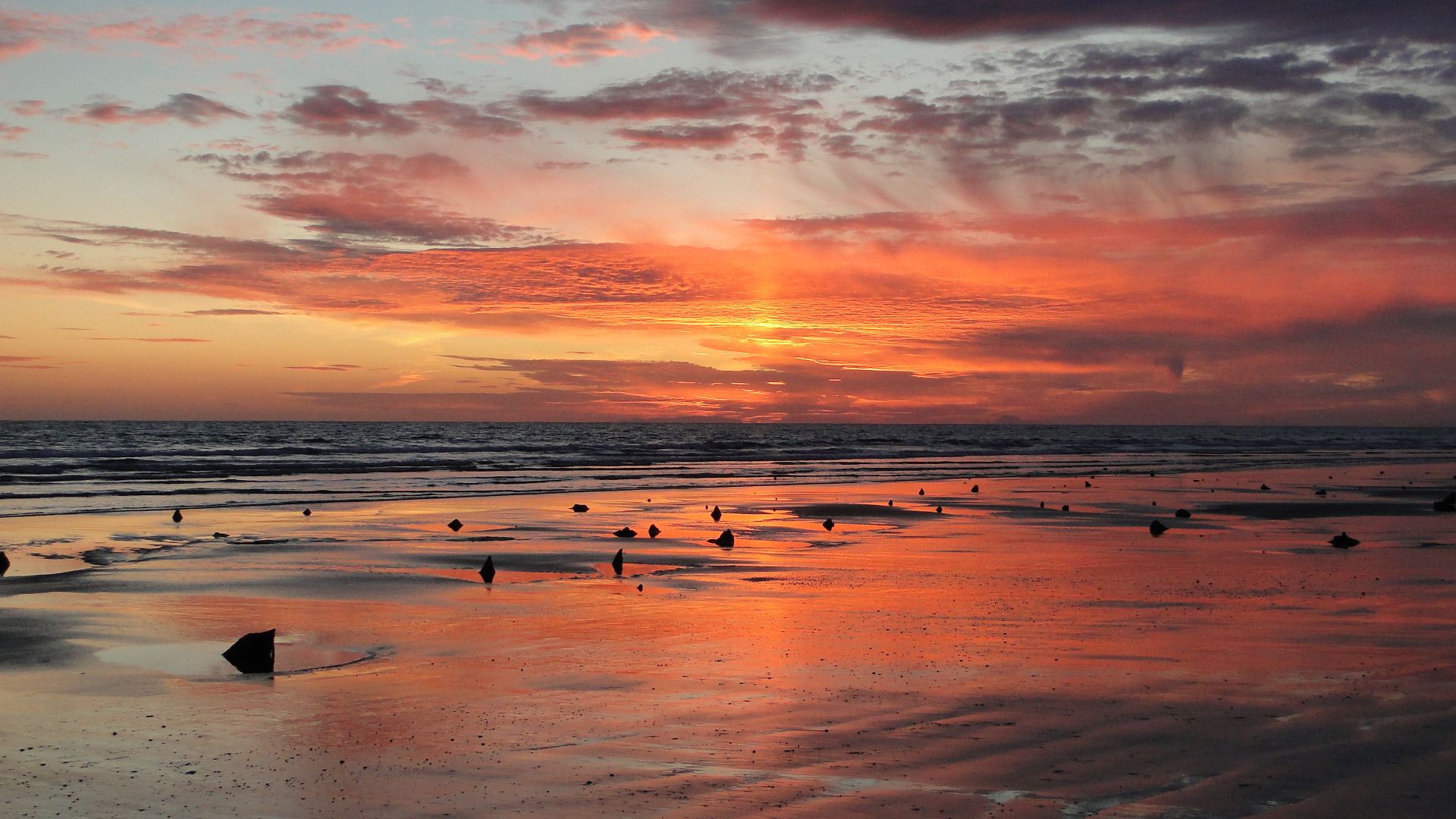 File:Submerged forest at Ynyslas, Ceredigion.jpg
