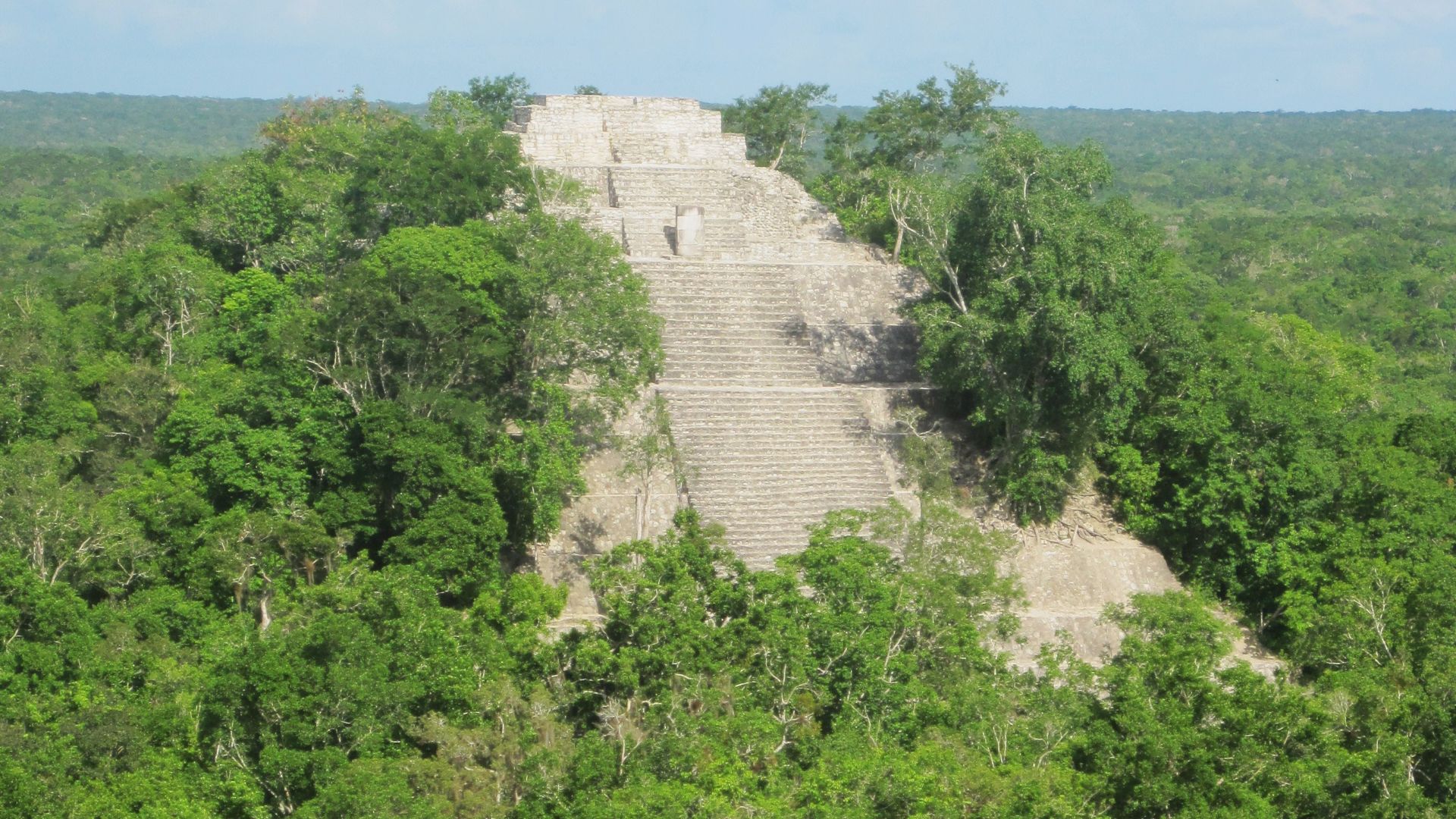 File:In Calakmul, Mexico (8726963632).jpg