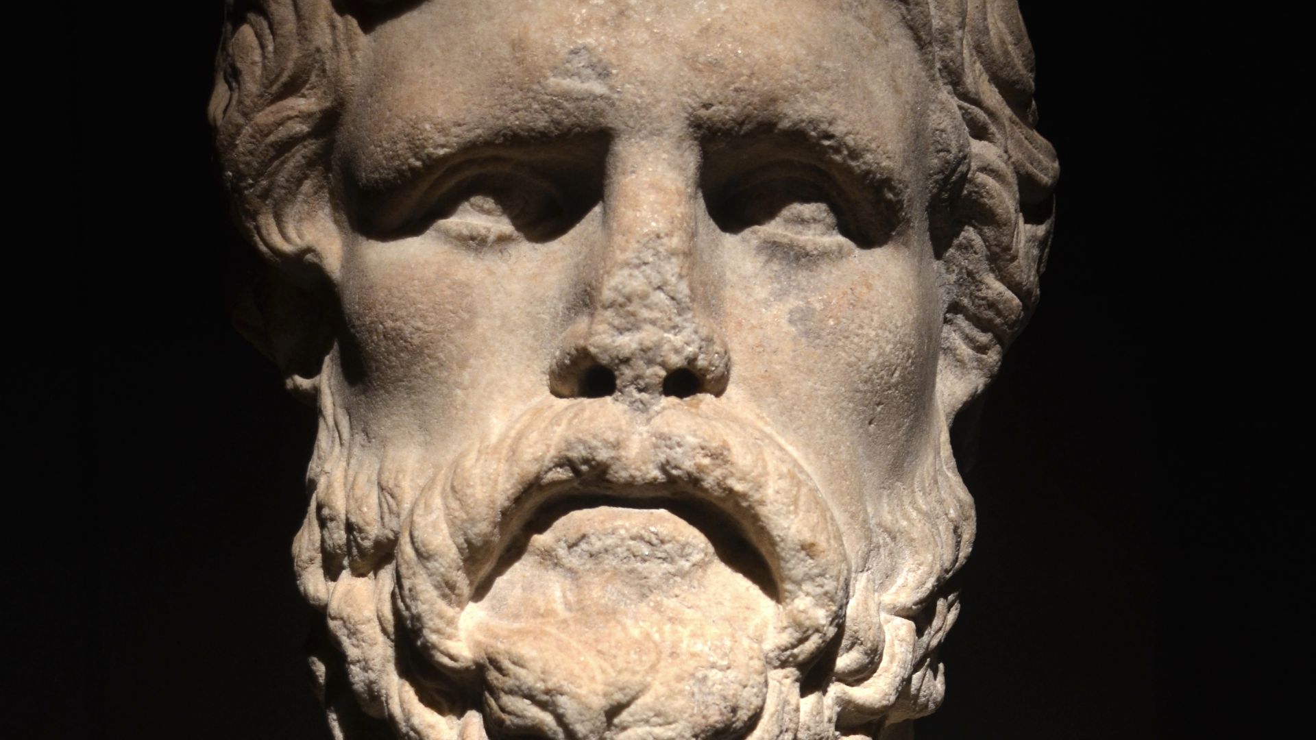 File:Bust of Xenophon.jpg