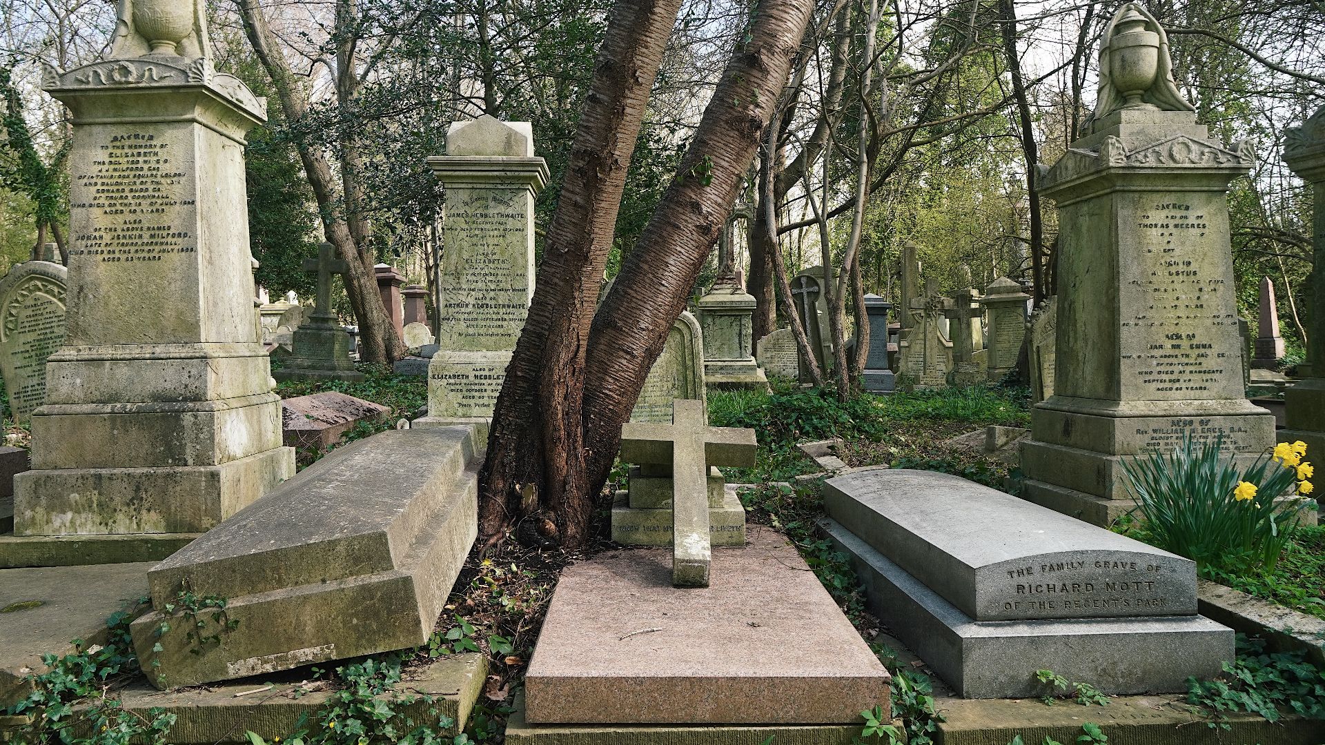 File:Highgate Cemetery, London (51075926473).jpg