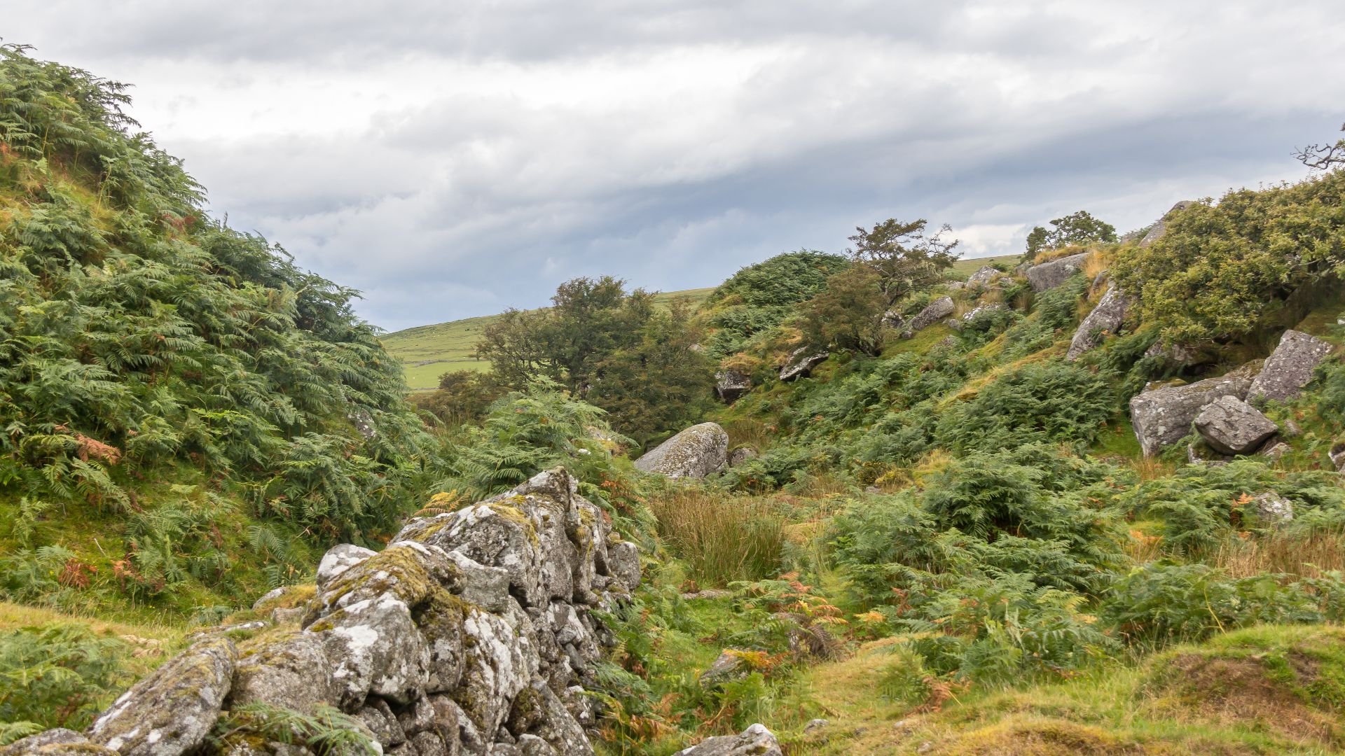 File:Bodmin Moor, Cornwall-9102.jpg