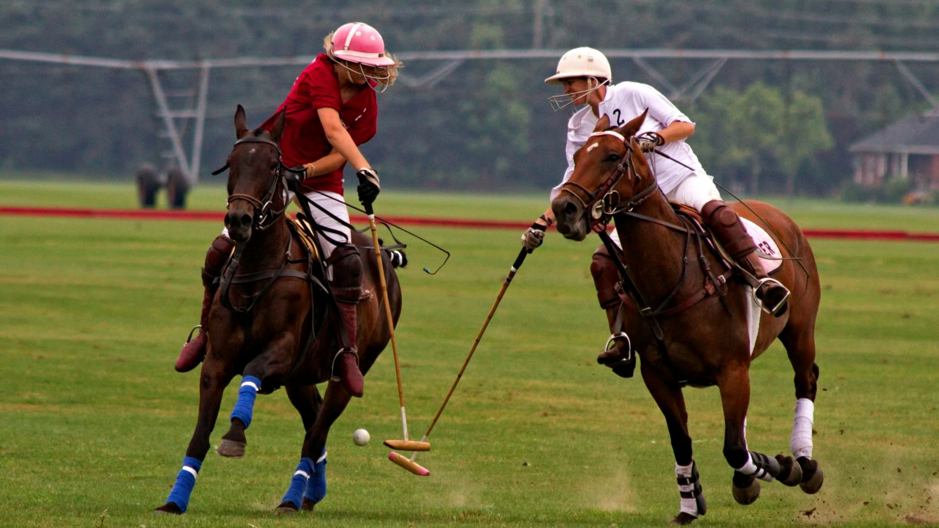 shallow focus photography of two man competing at the polo pony