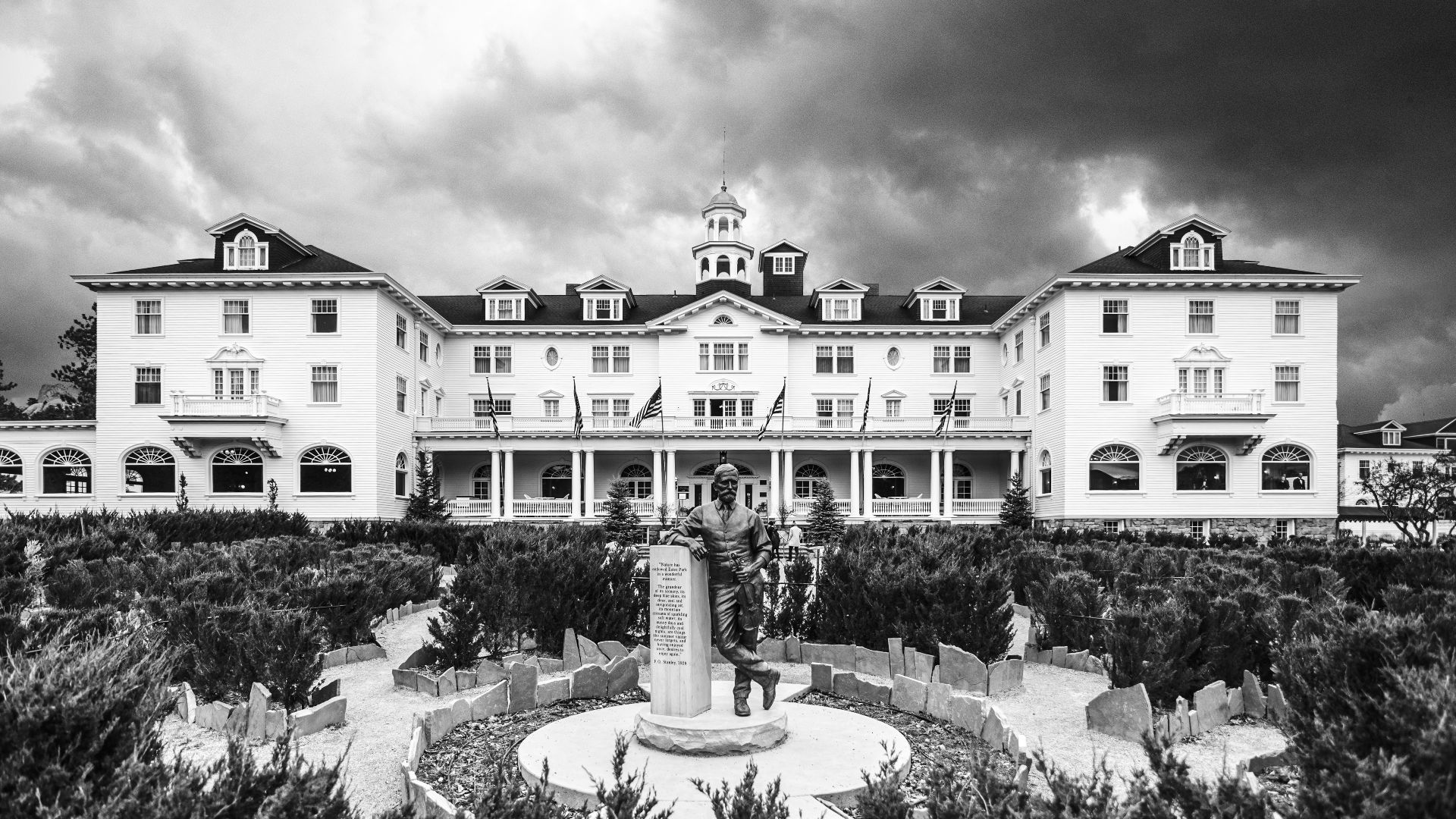 grayscale photo of houses and trees