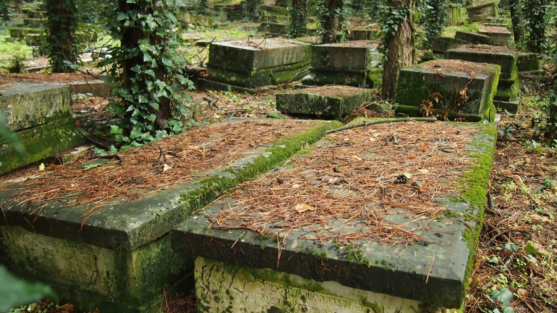 a group of stones in a garden