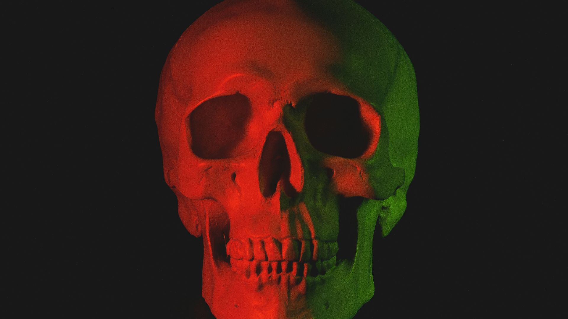 skull head bust with LED light