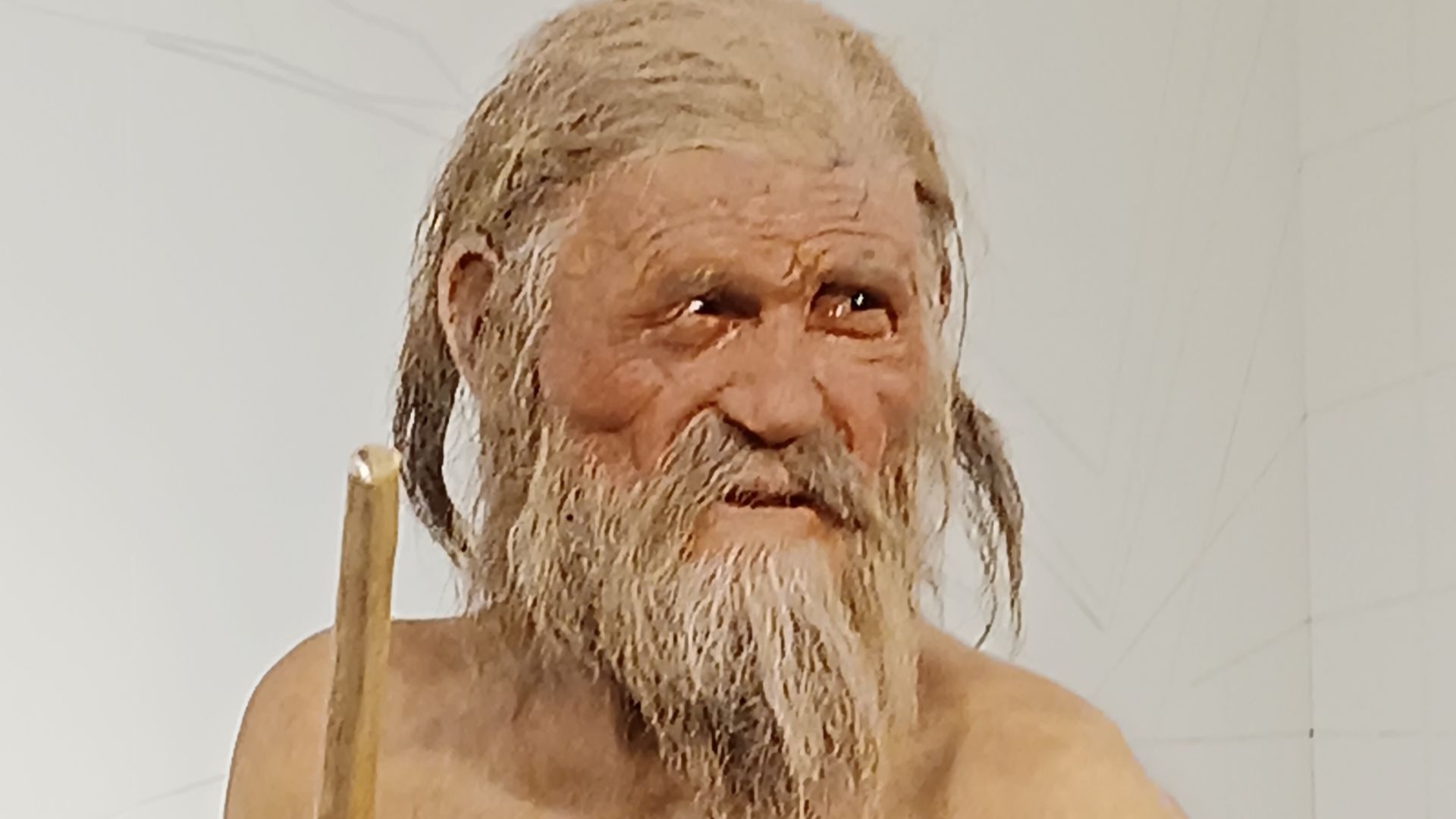 File:Ricostruzione di Ötzi - Particolare del volto.jpg