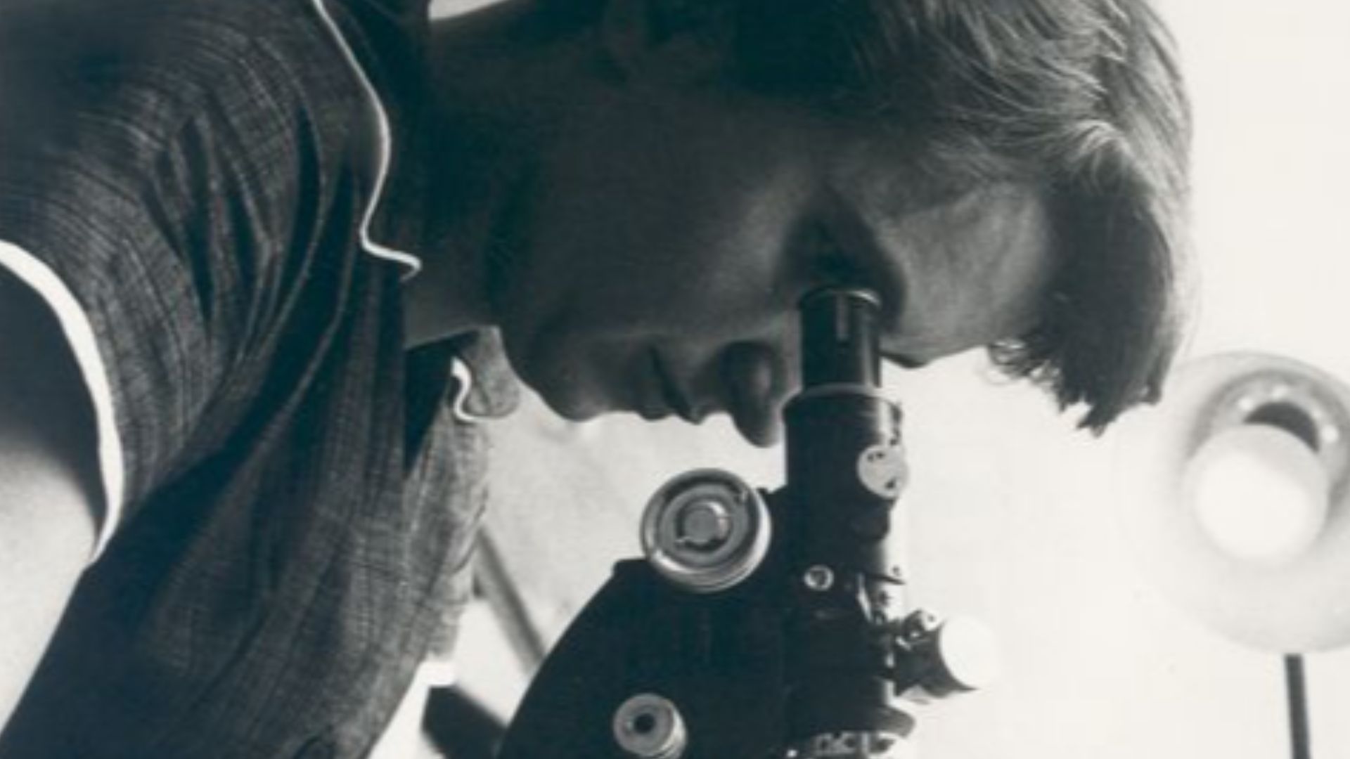 File:Rosalind Franklin.jpg