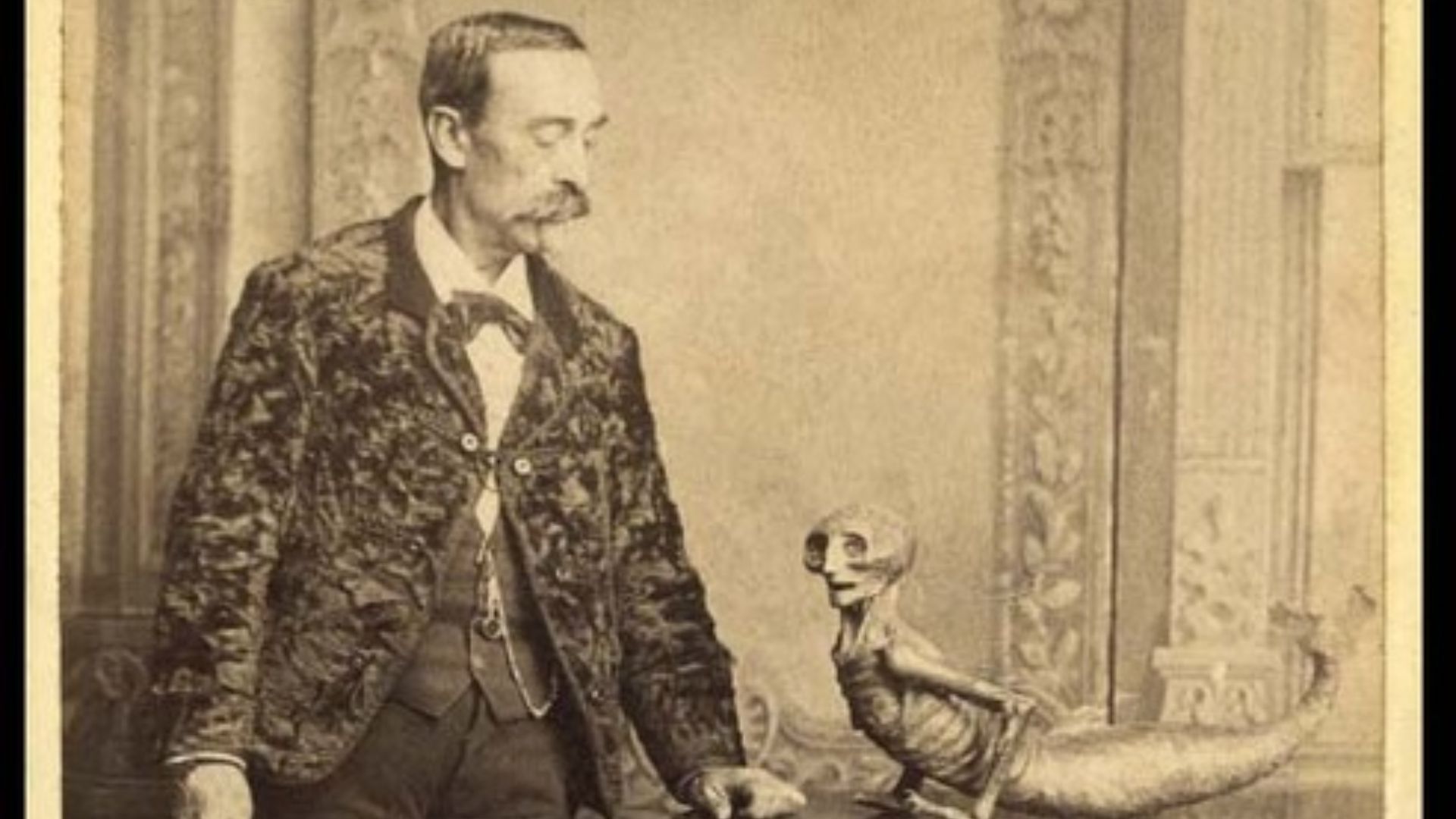 File:Feejee Mermaid 1.jpg