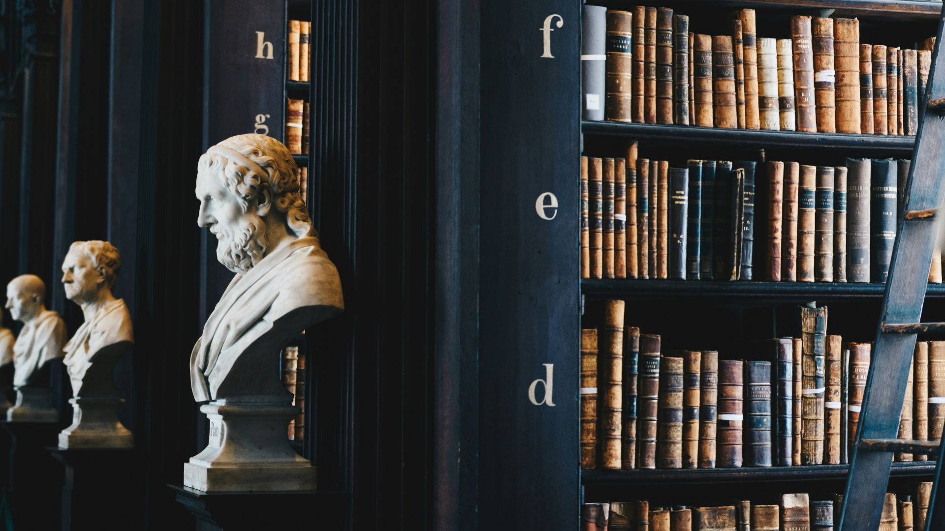 book lot on black wooden shelf
