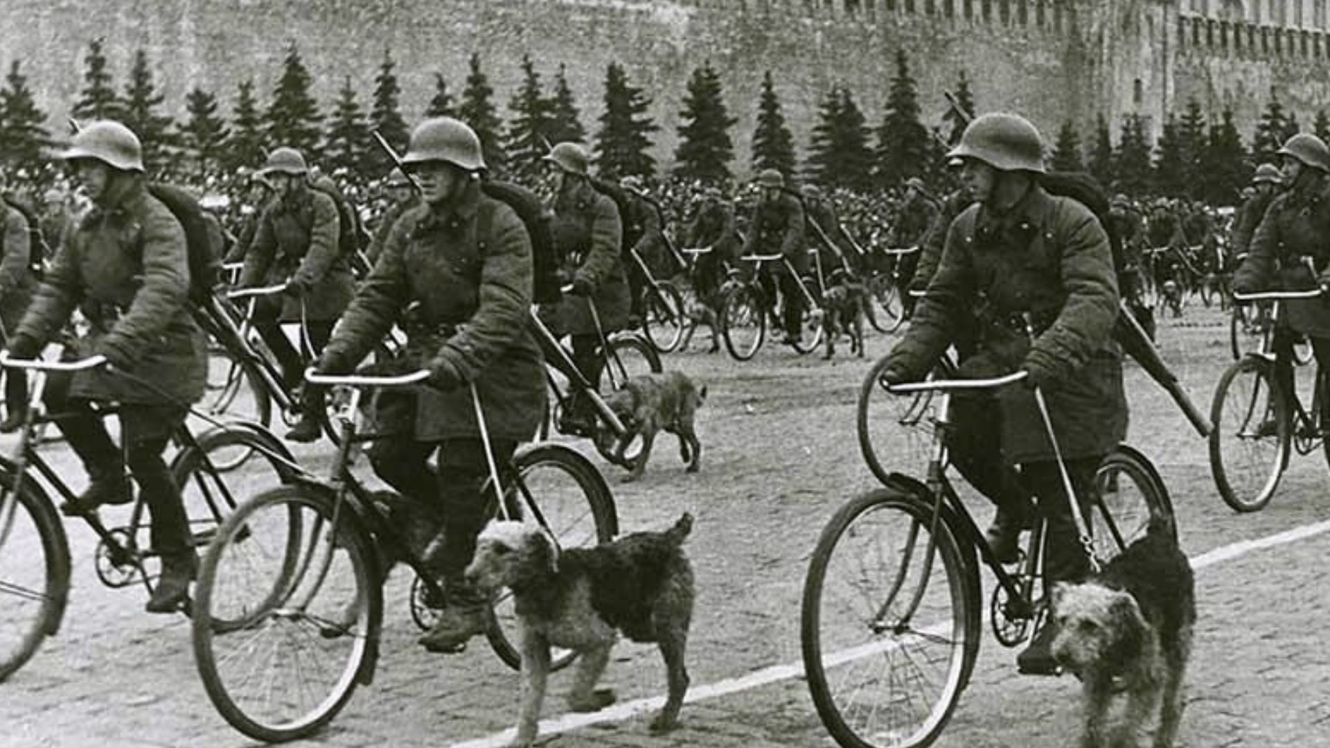 File:F ww2 sov16.jpg