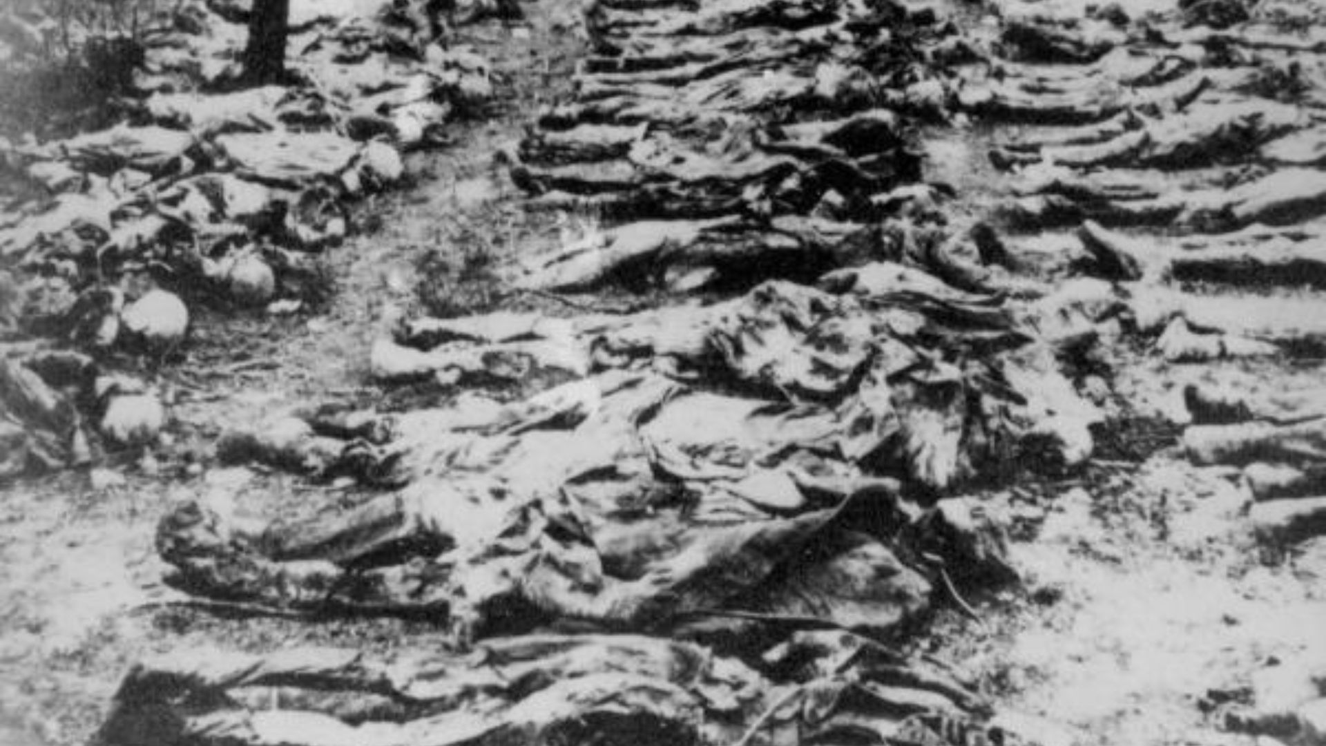 File:Katyn massacre 5.jpg