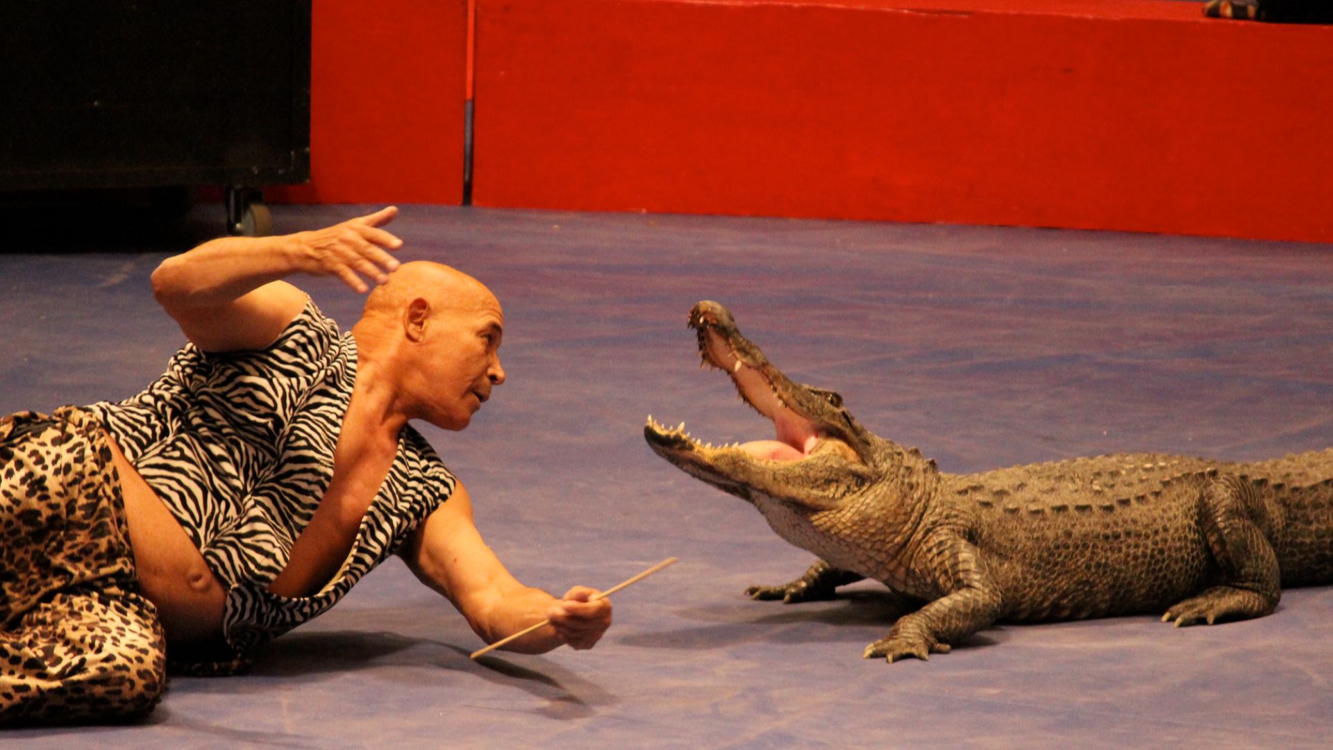 File:Tahar Douis, Shrine Circus, Omaha 2014.jpg