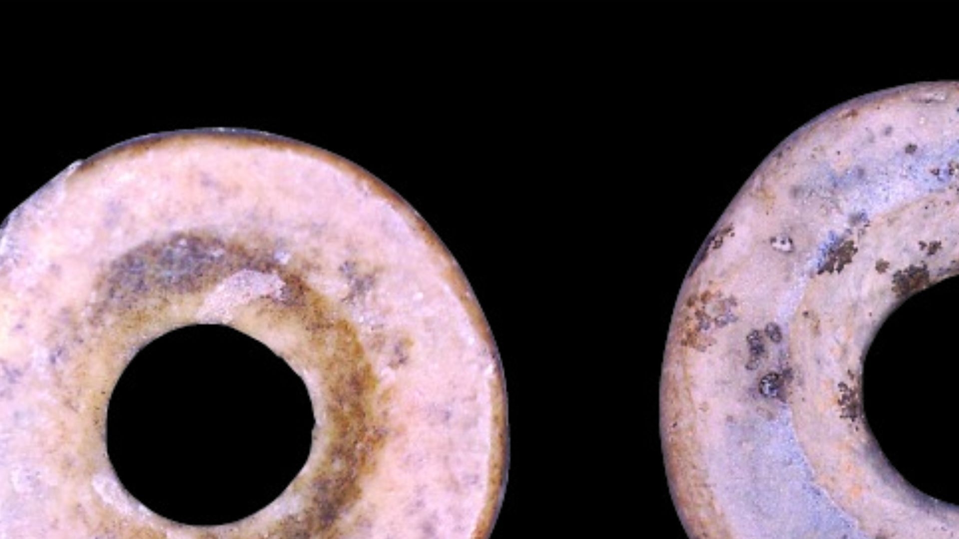 File:OES Holocene Africa - Miller et al 2019.png