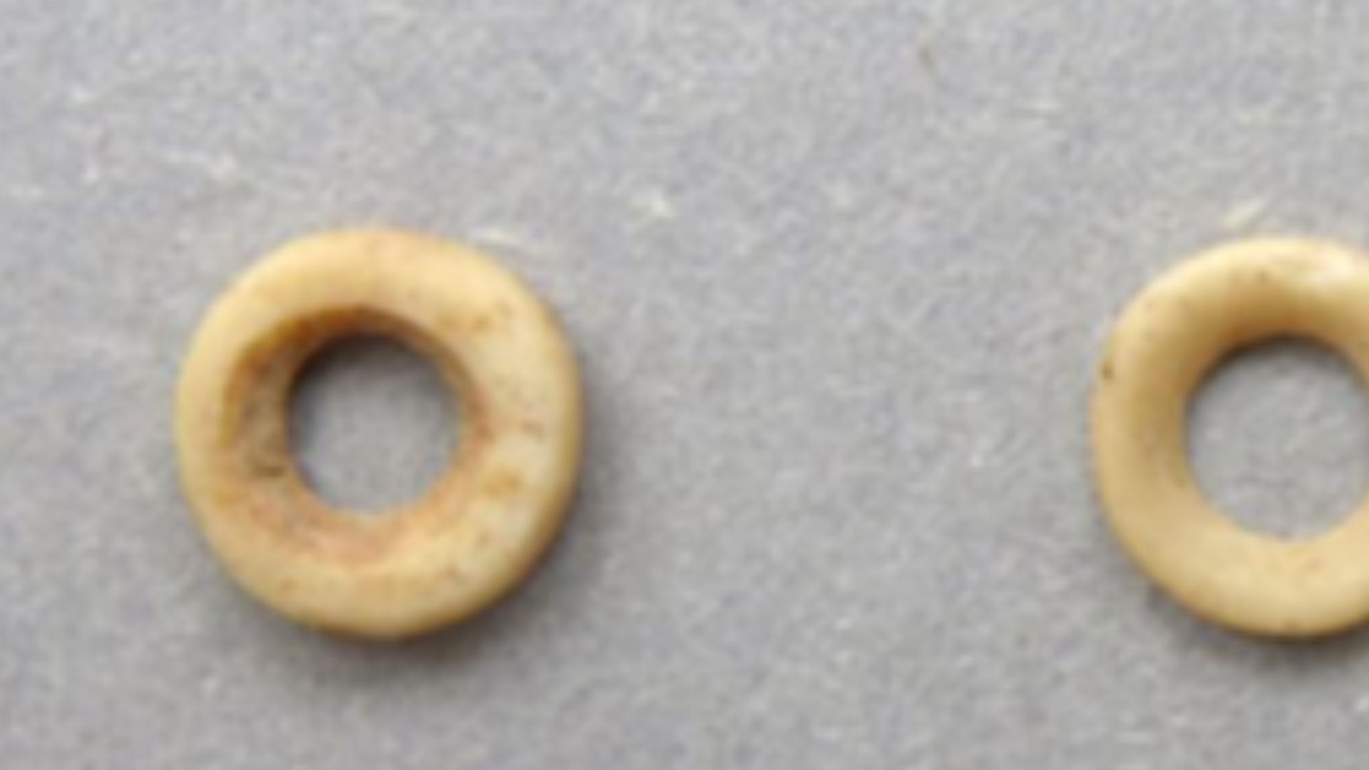 File:OES Shizitan - Song et al. 2022.jpg