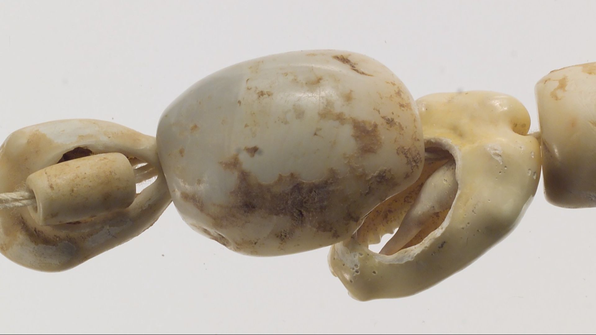 File:Shell beads MET DP122417.jpg