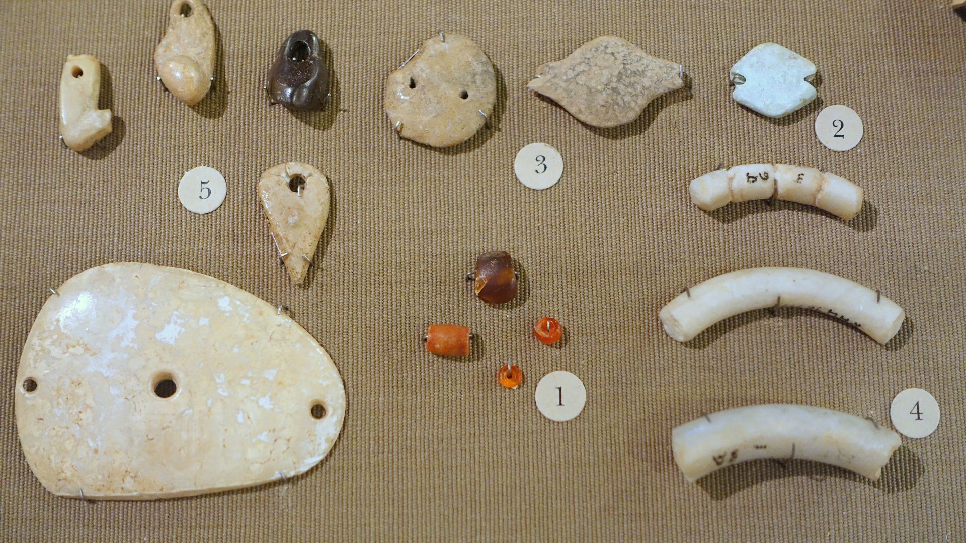 File:Jarmo personal adornments, 1 carnelian beads, 2 turquoise bead, 3 clay beads, 4 stone bracelets, 5 pendants of clay, stone, and shell - Oriental Institute Museum, University of Chicago - DSC06938.JPG
