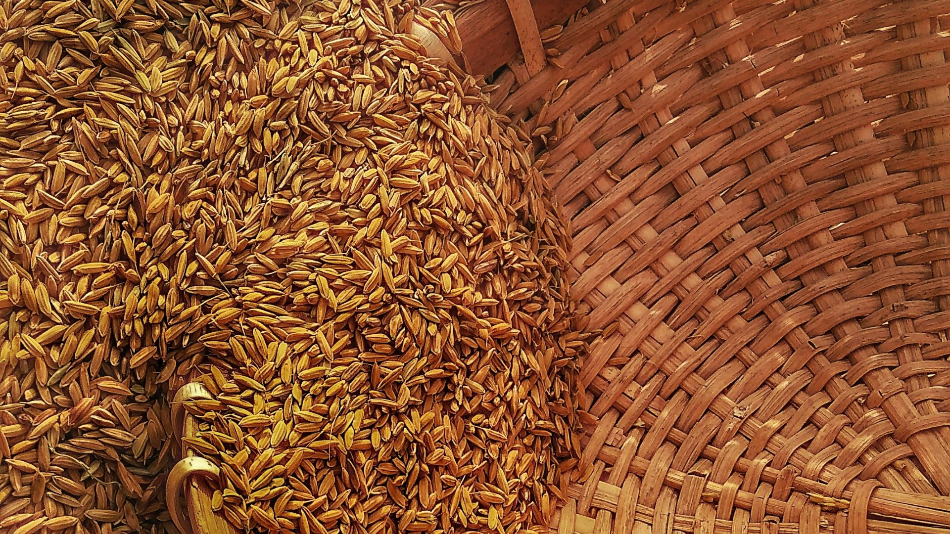 wicker basket on rice grains