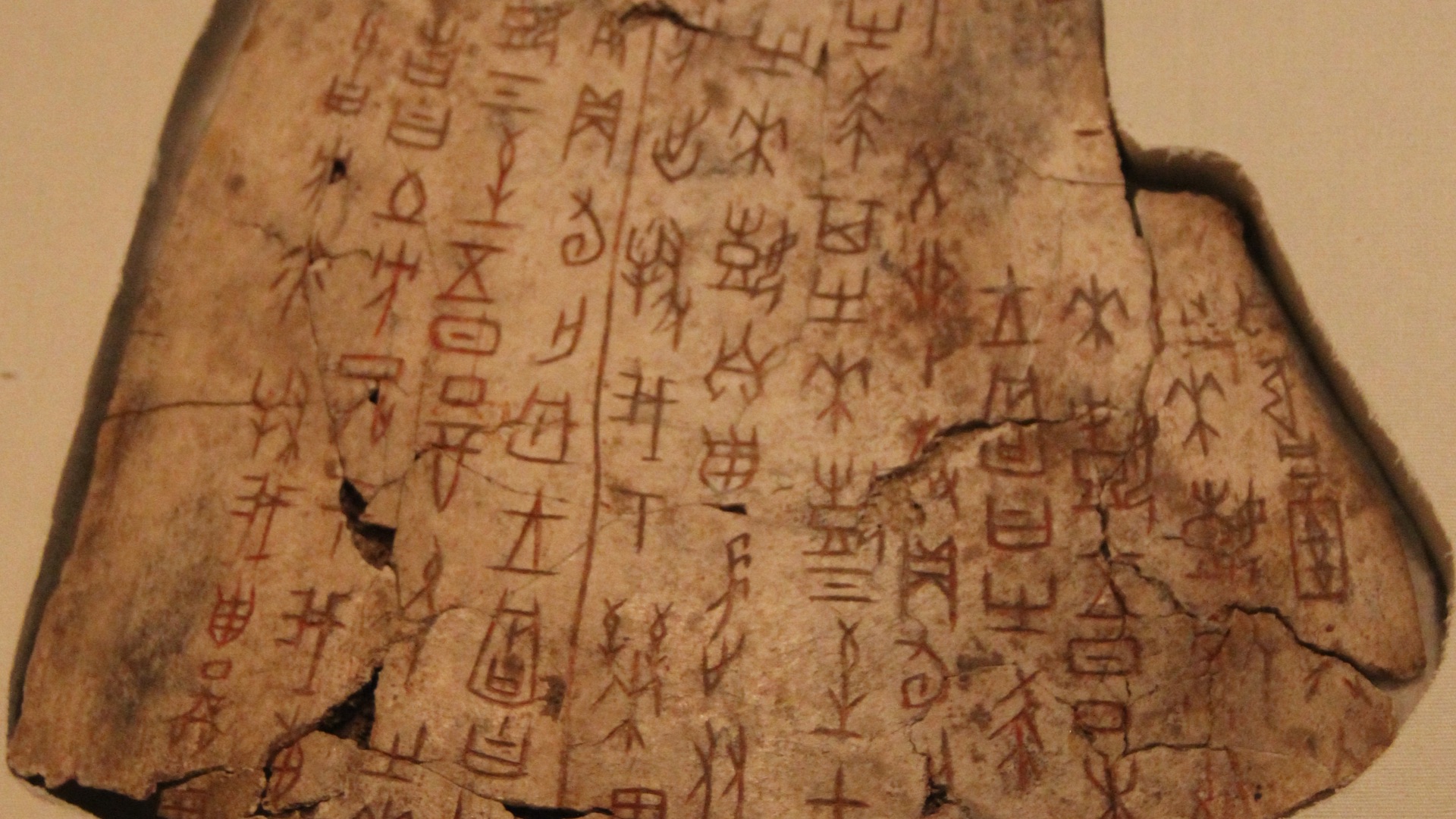 File:Shang Inscribed Ox Scapula (for divination).jpg