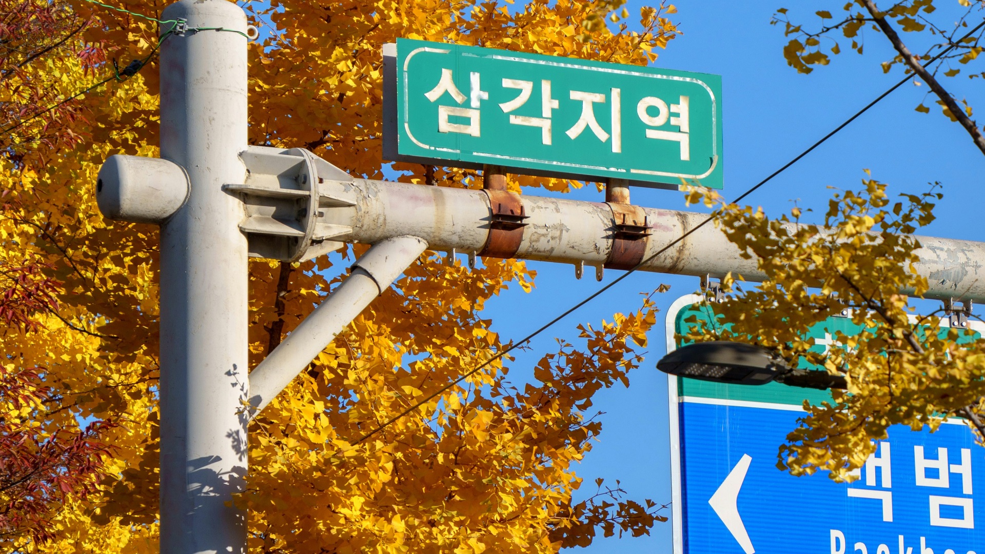 Street sign with autumn trees in the background.