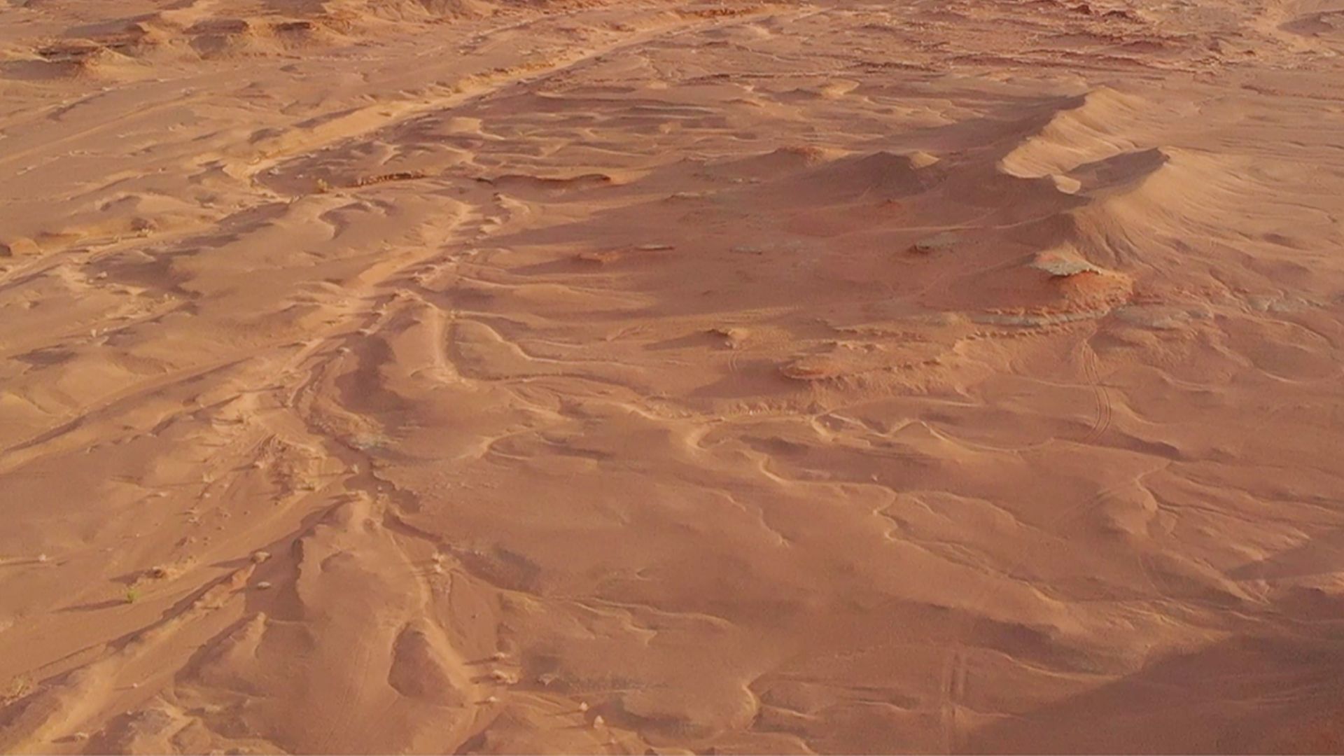 File:Elmisaurus MPC-D 102 113 locality.png