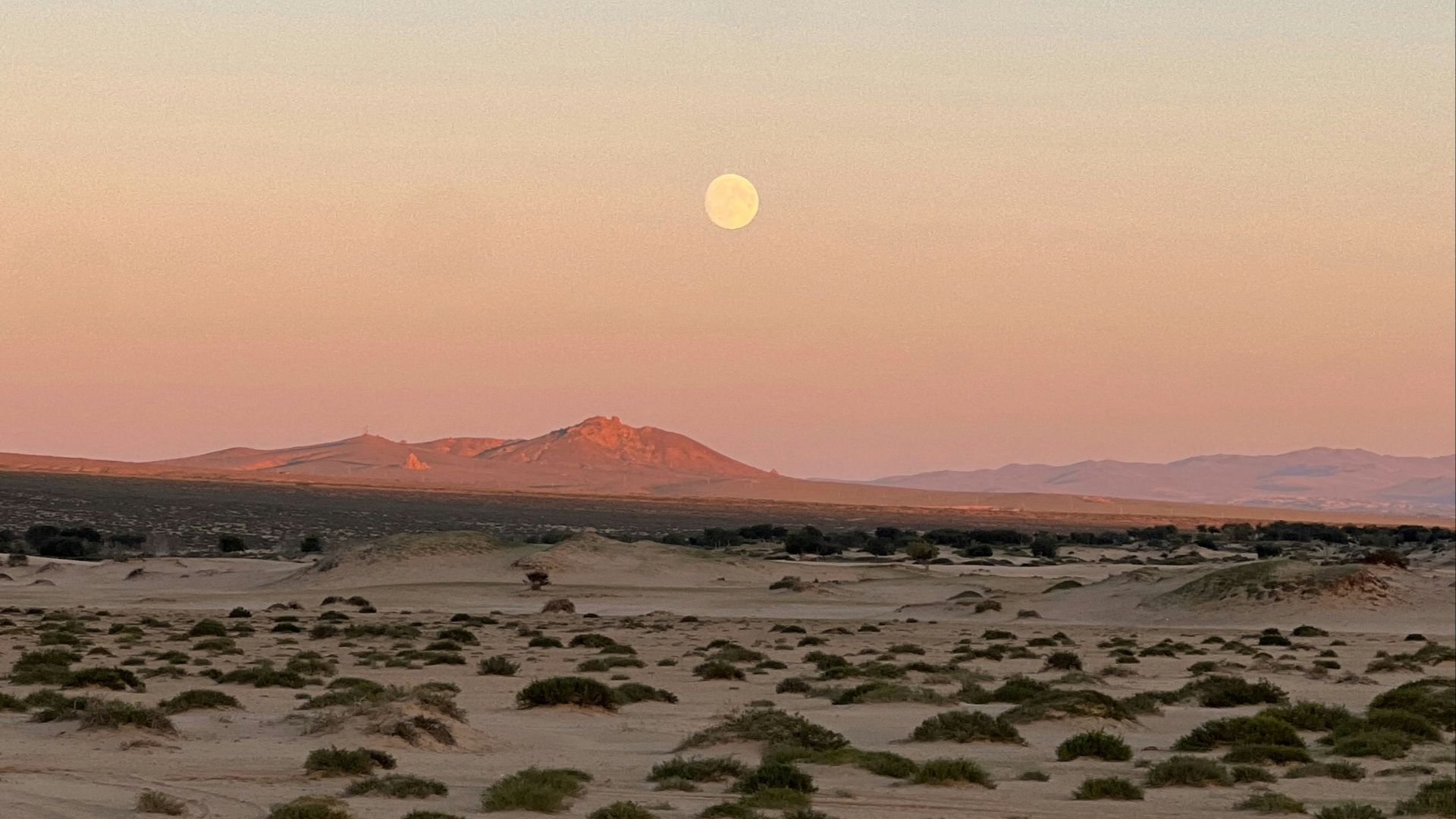 The moon is setting in the sky over the desert