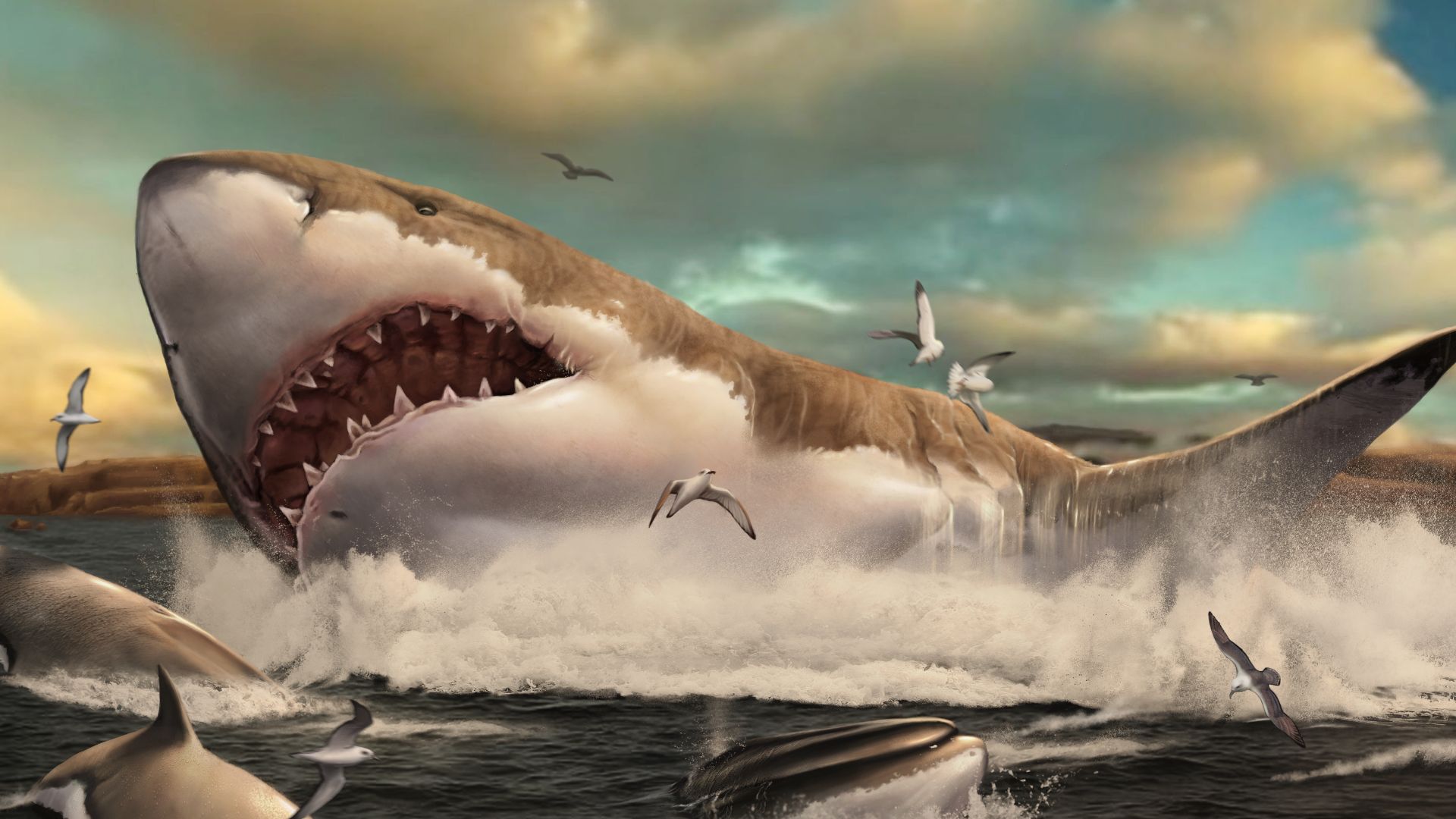 File:Otodus megalodon in sea restoration.jpg