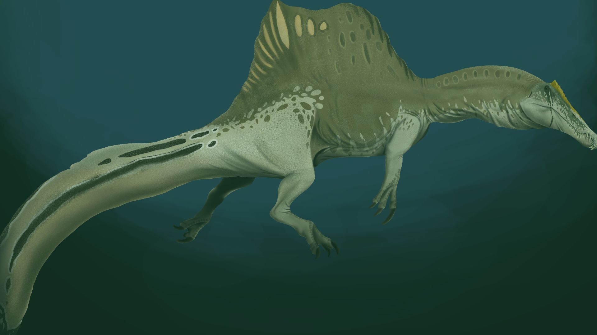 File:Spinosaurus aegyptiacus underwater.png