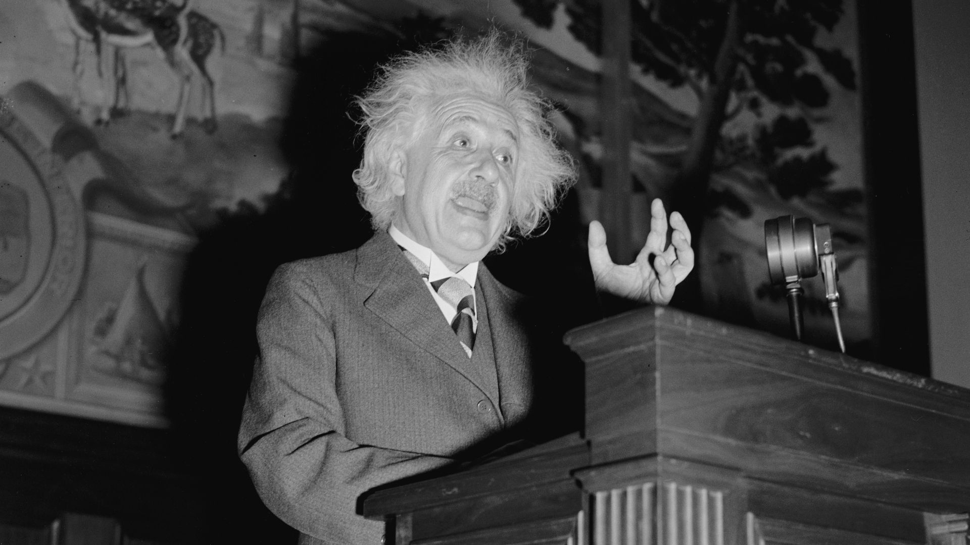 File:Albert Einstein speaking LCCN2016877613.jpg