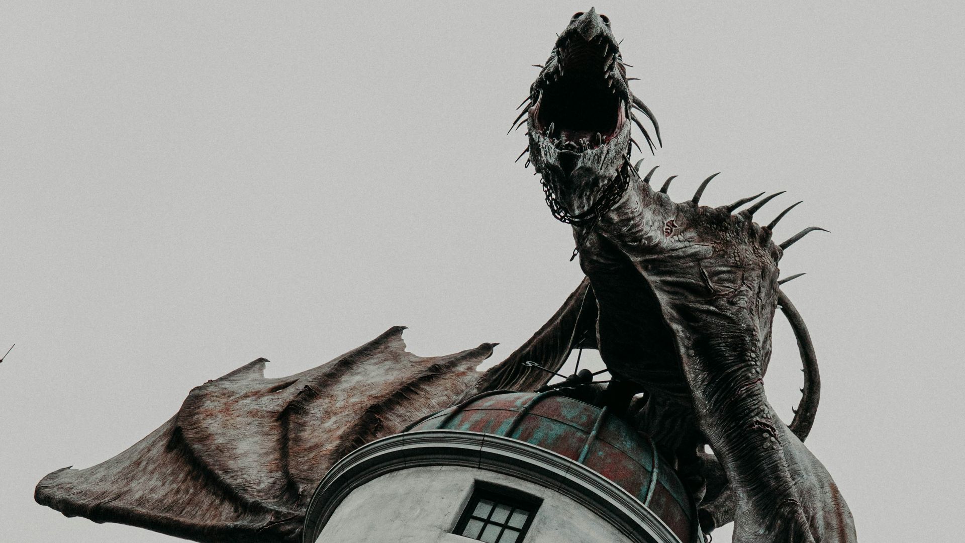 shallow focus photo of dragon on gray building