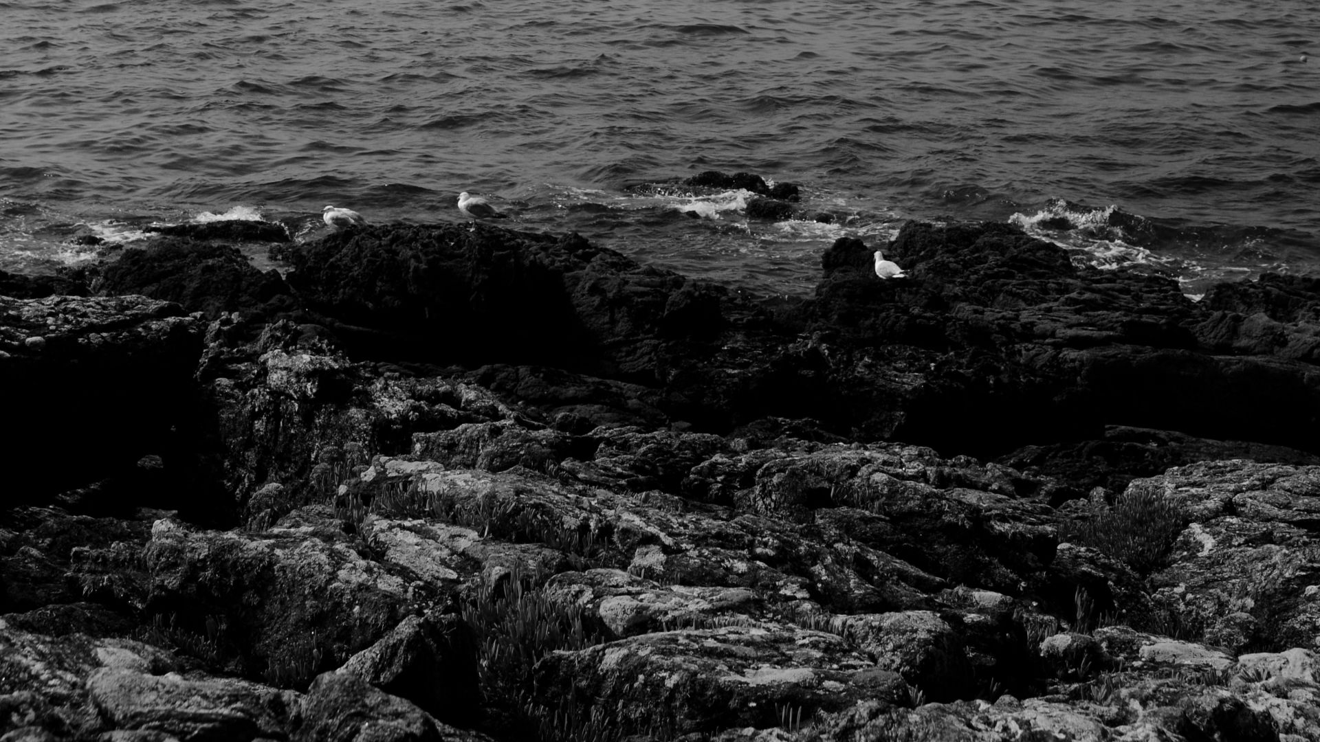 black rocks on body of water