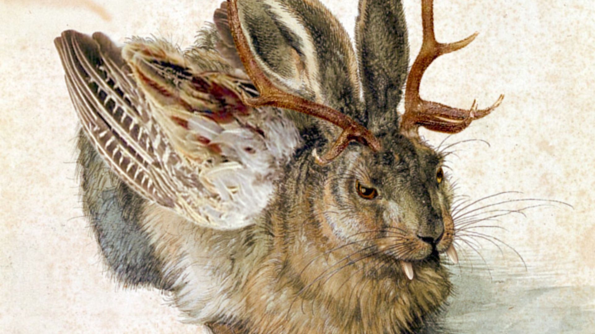 File:Wolpertinger.jpg