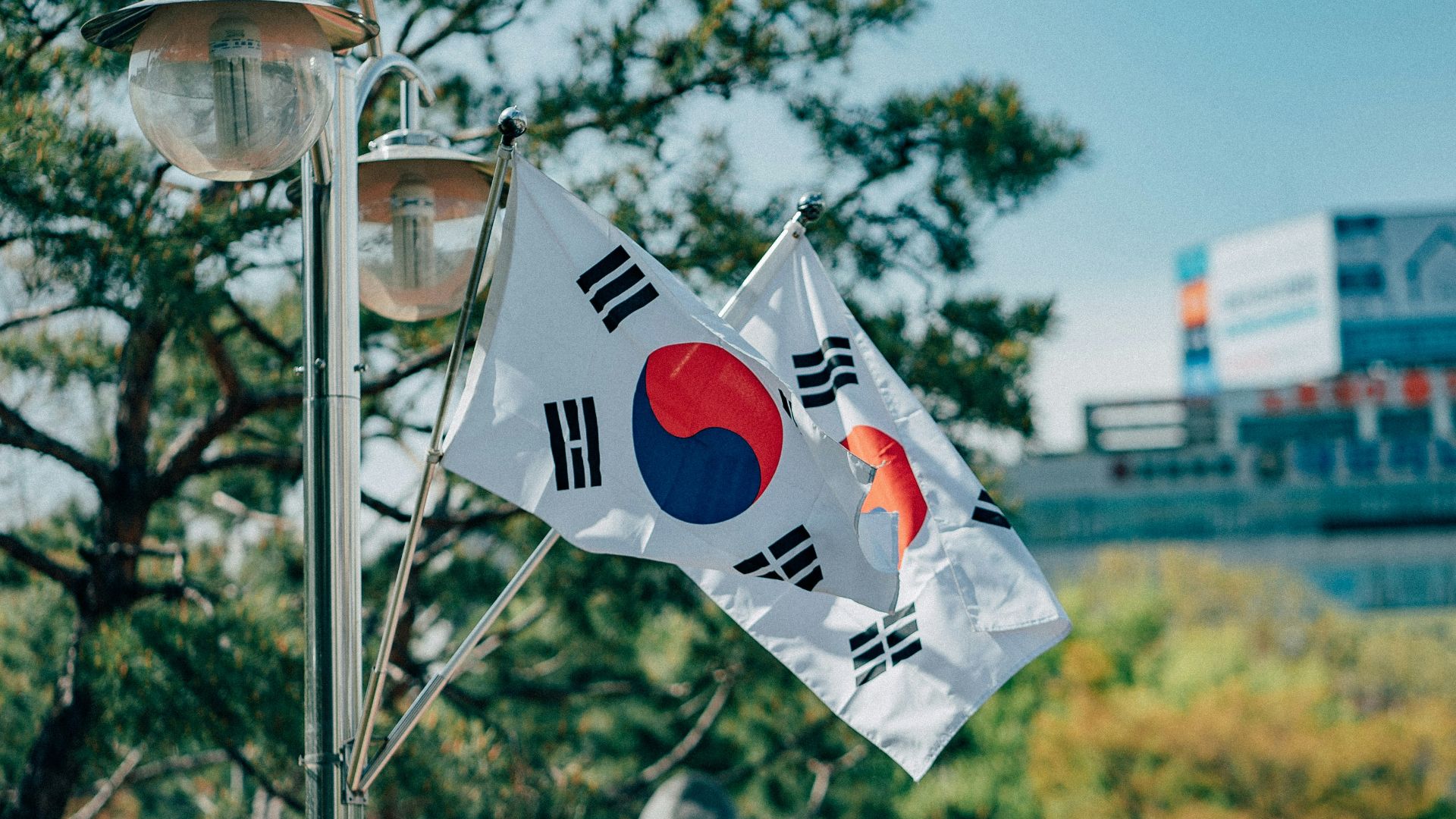 white red and blue basketball hoop