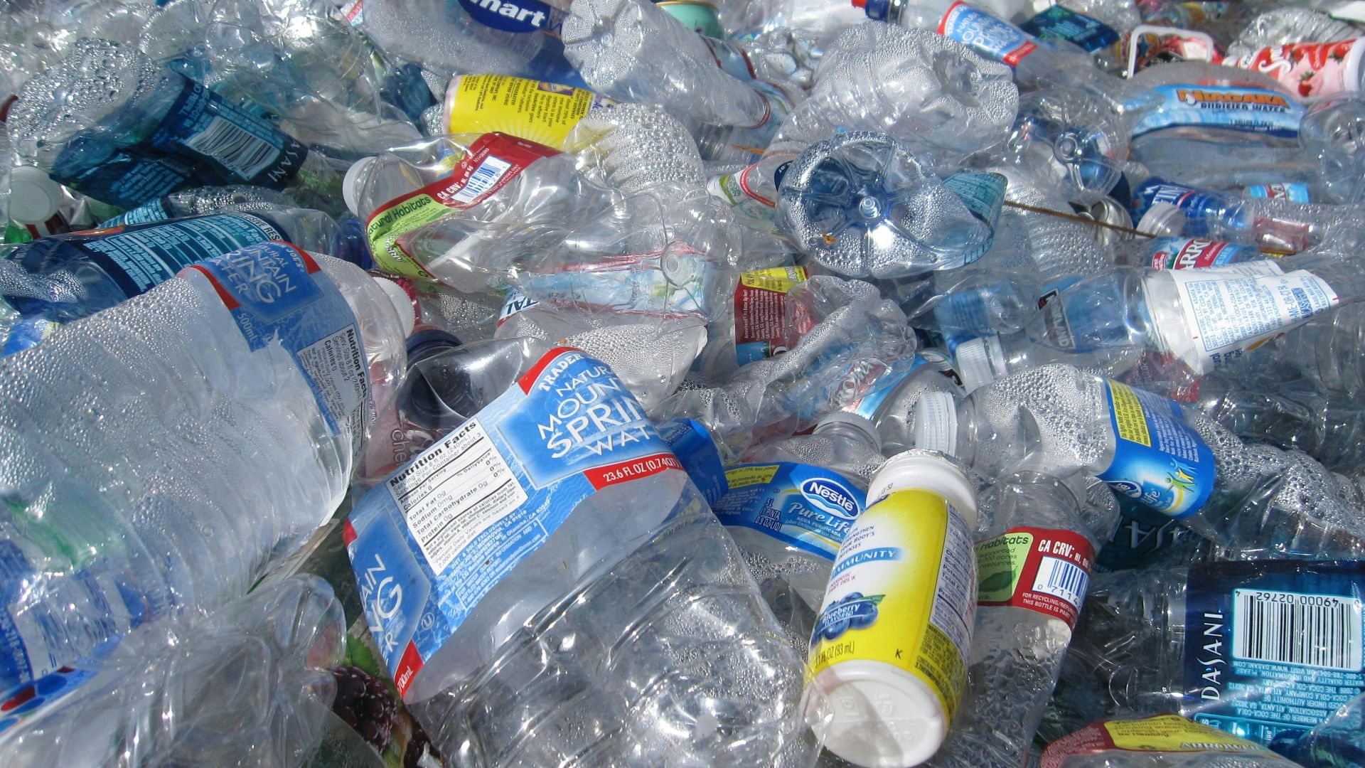 blue labeled plastic bottles