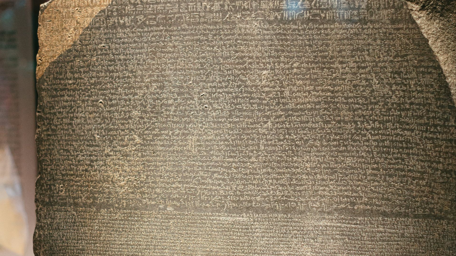 brown and blue mesh textile