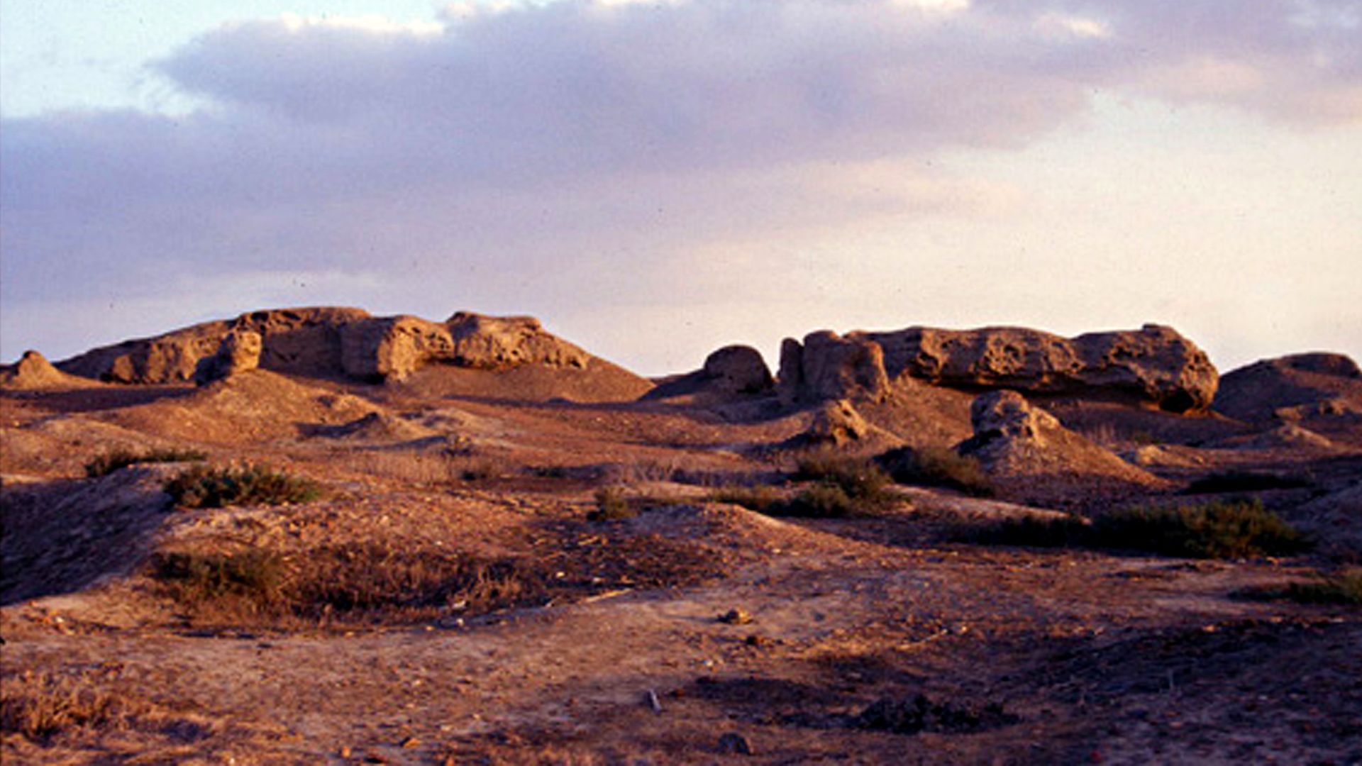 File:Ruins of mudbrick buildings on the northern mound of Buto-Desouk.jpg