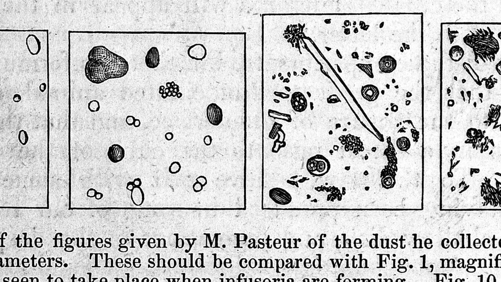 File:Engravings to illustrate