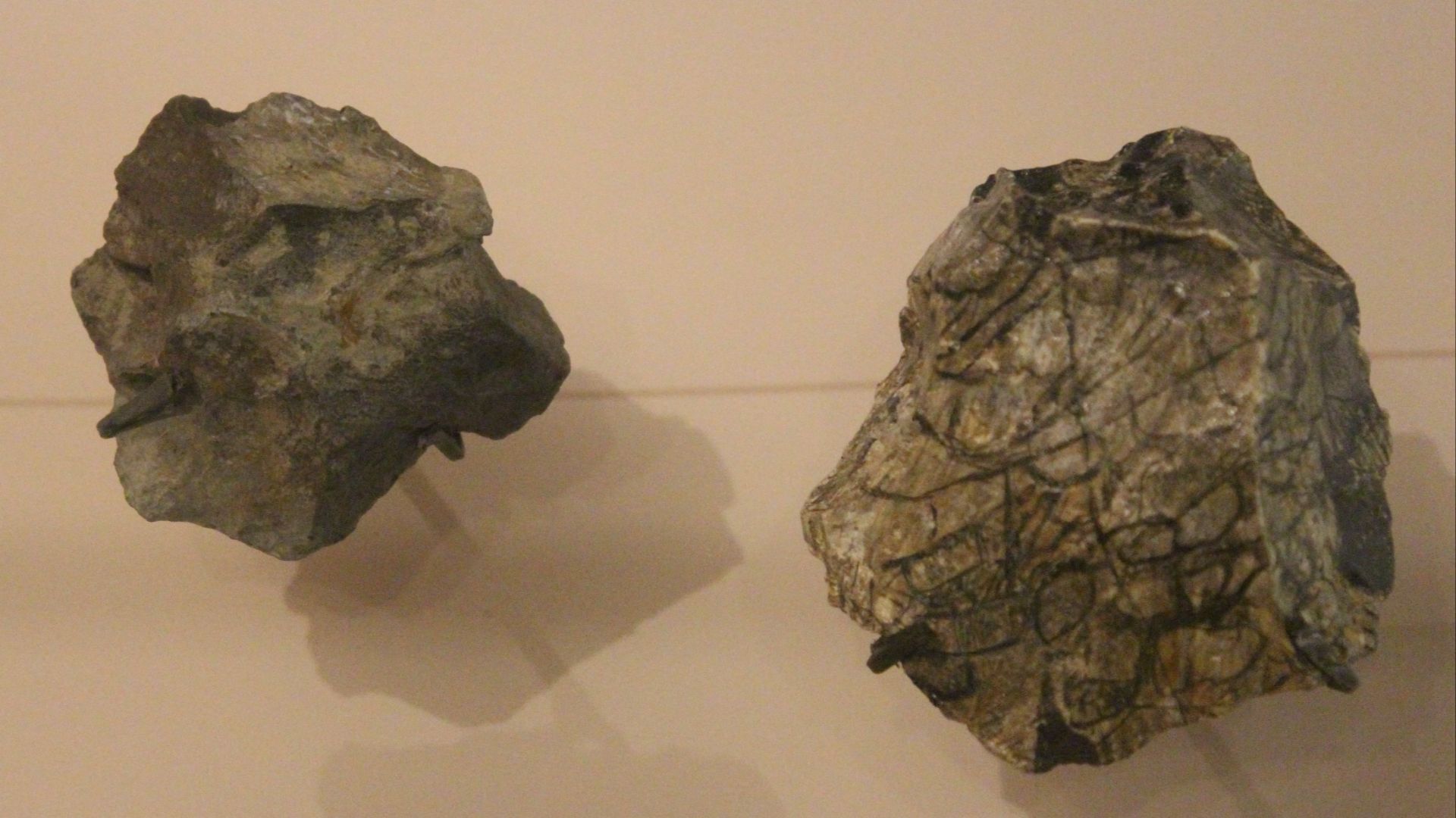 File:Xiaochangliang Stone Cores NMNH.jpg
