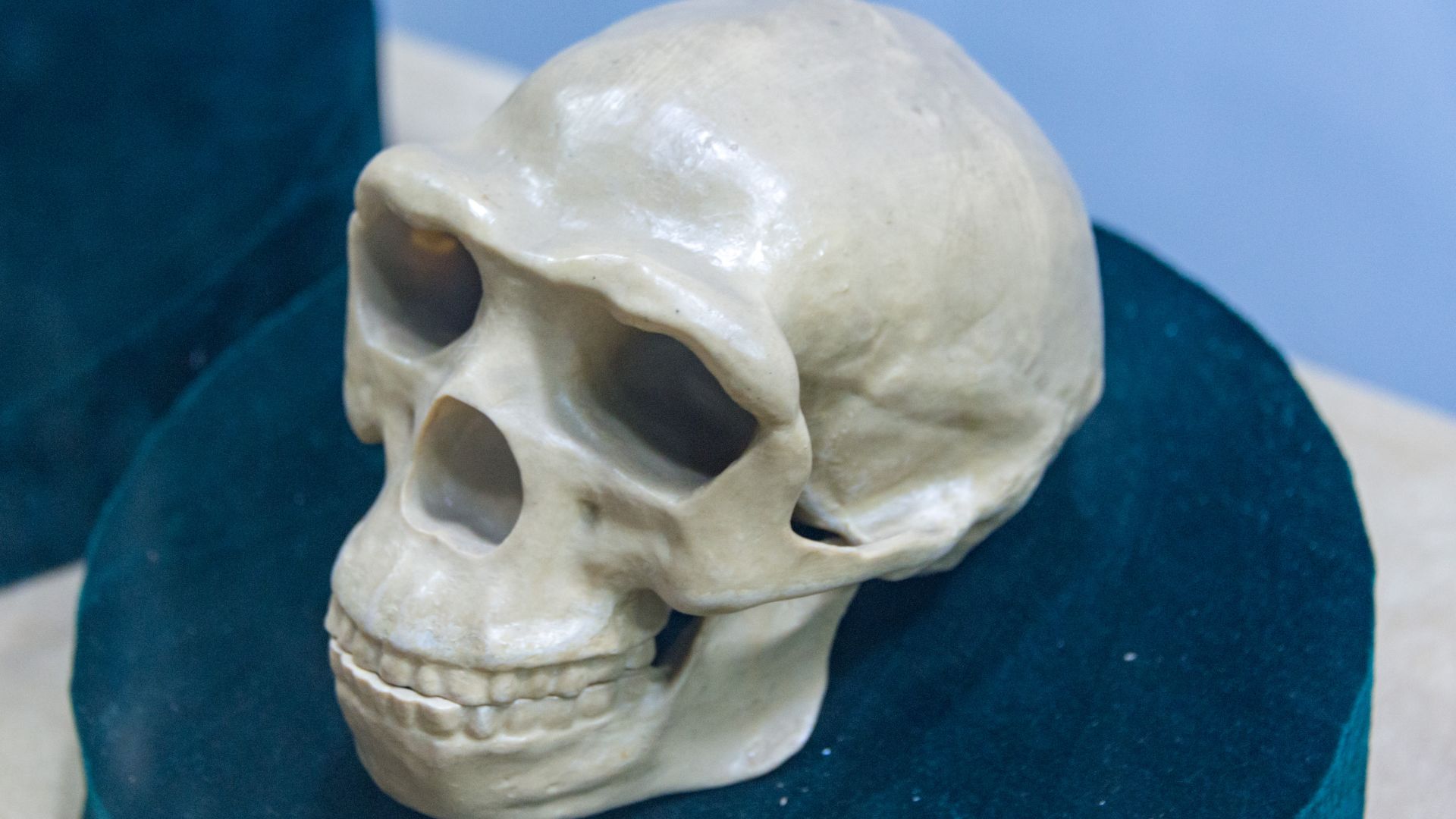 File:66080-Peking-Man-Site (28097350934).jpg